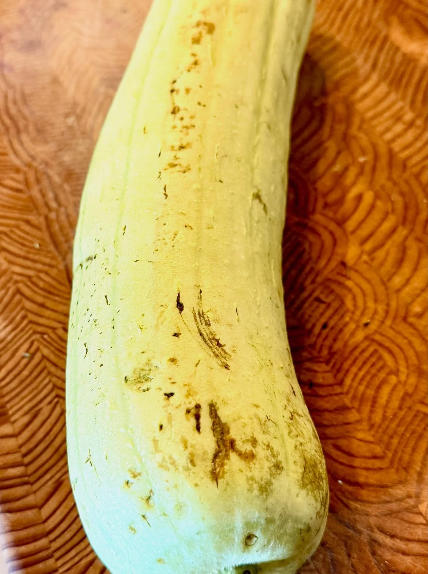 After a fun and delicious #DamesWhoDine dinner at @noshgrillhouse, proprietor Dame @rebeccawuren and her wonderful mother gave me a very generous gift - a basket of vegetables from their garden, which included long beans, bitter melon, and this Luffa
