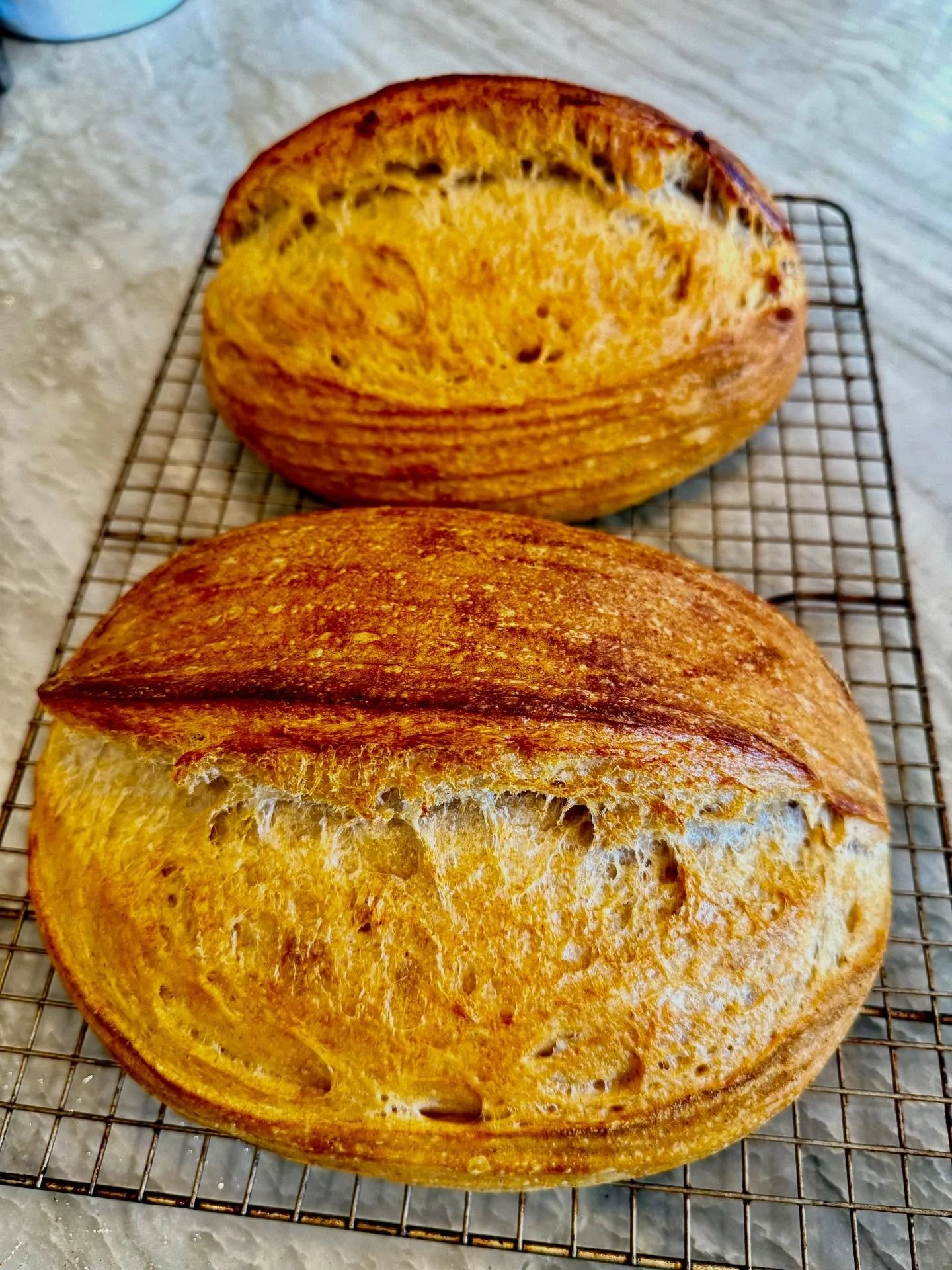 A good morning to bake bread! Very pleased with these girls. I like a soft white wheat, but added just a bit of hard spring red whole kernel from @janiesmill for body and flavor depth (25g, 13% protein) and whole grain spelt for nuttiness (50g) to an