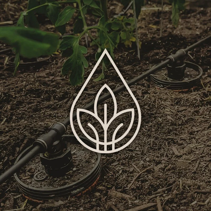 The Thirsty Earth