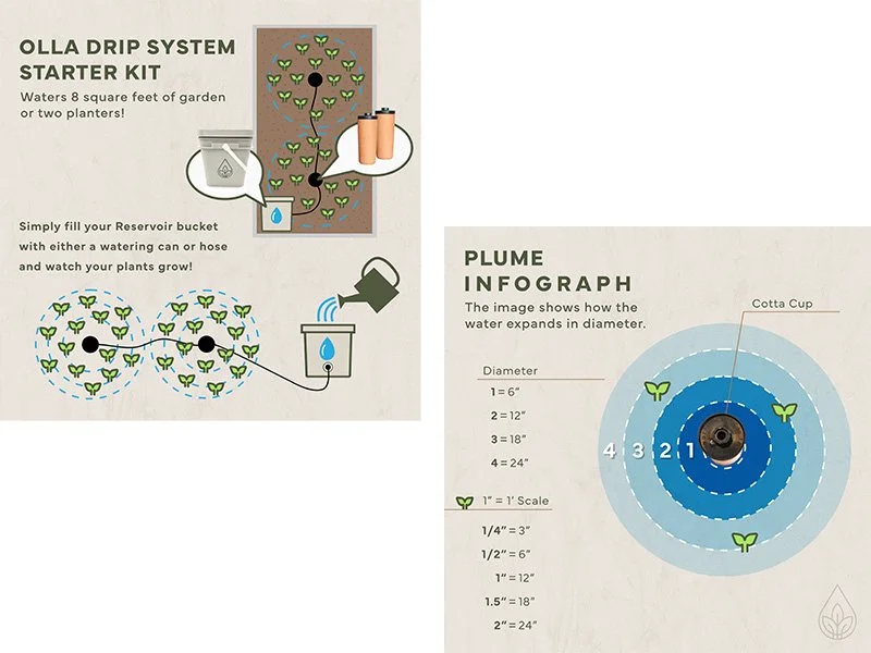 Infographics for Social Media