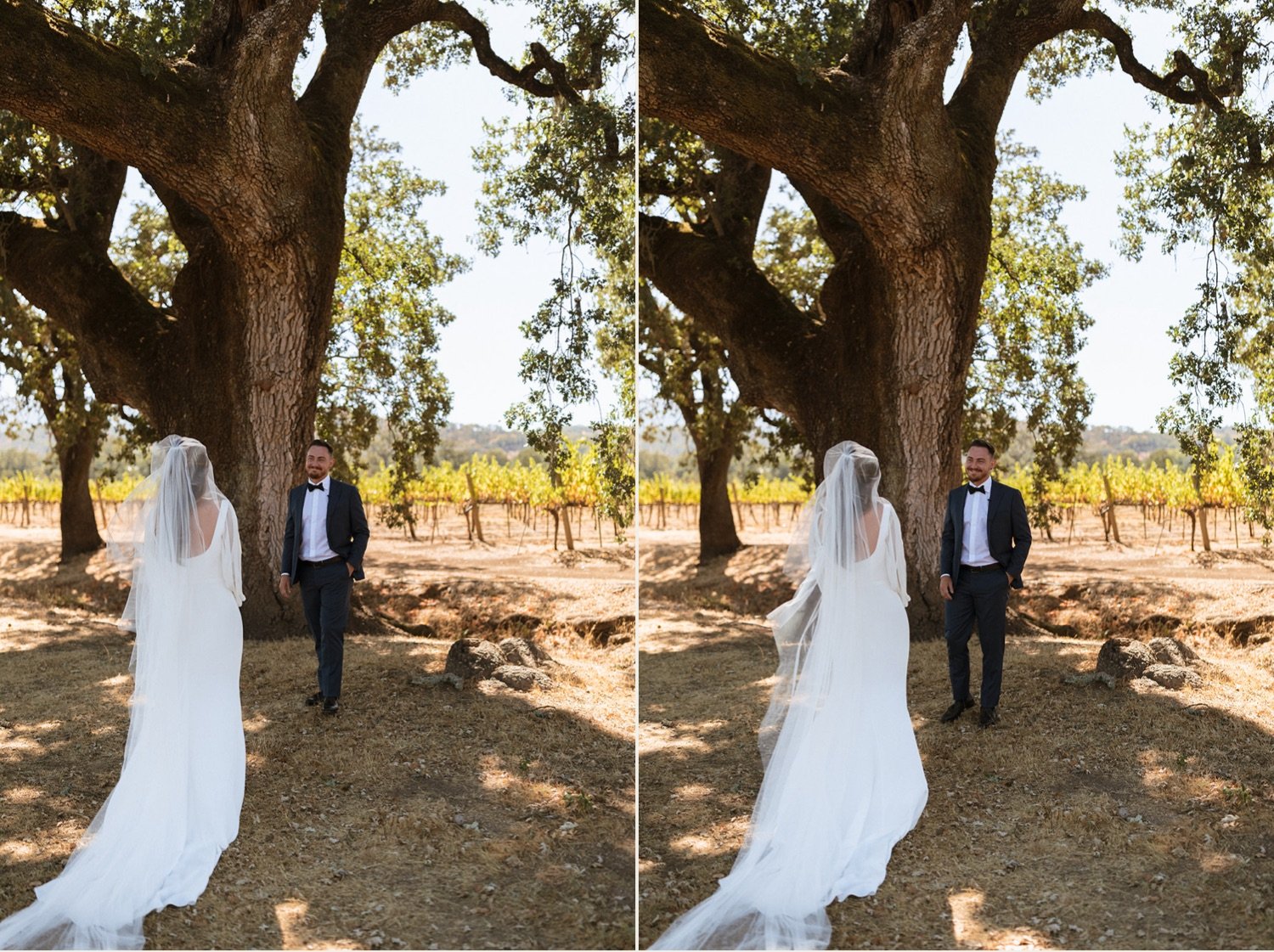 036_California Vineyard Wedding.jpg