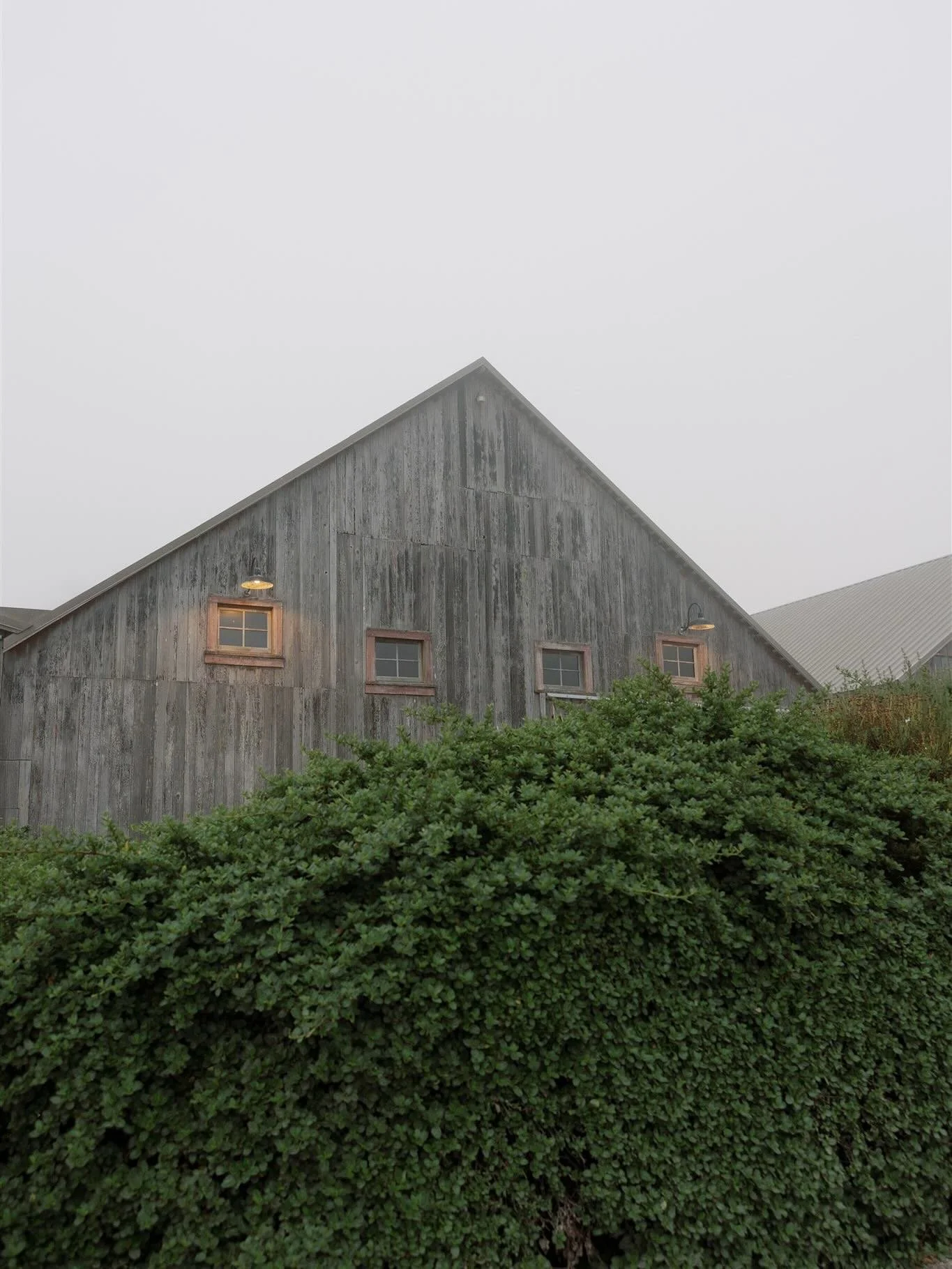 Up on the Northern Coast of California with @handheartevents for Carly and Nick&rsquo;s wedding day. A stunning celebration set in the inspiring landscape of @thehavenattomales, filled with the best kind of energy from their nearest and dearest. Asid