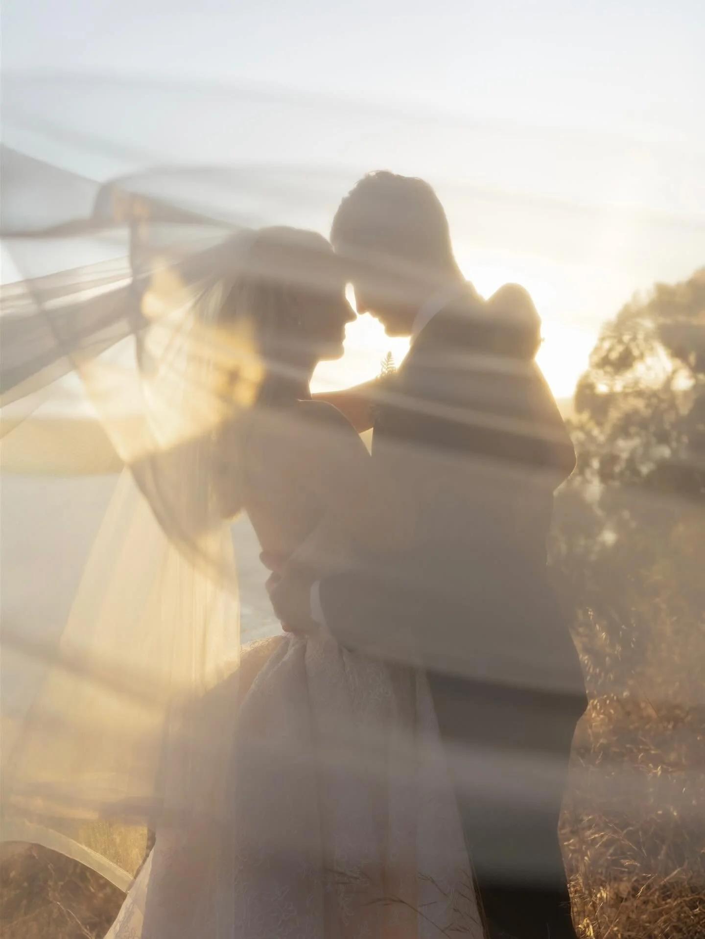 A collection of where my hearts lives on wedding days.