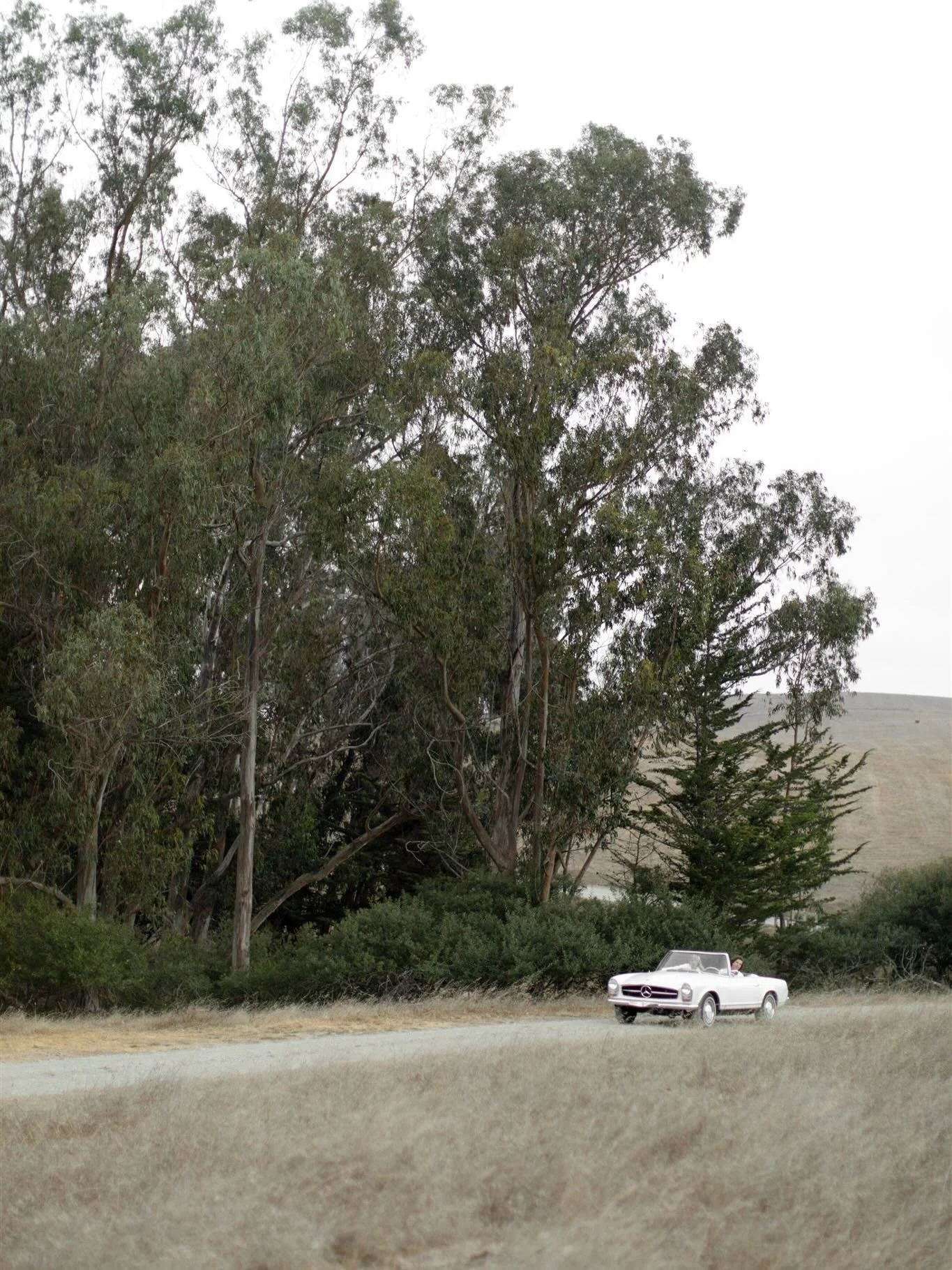 Some weddings leave a mark on your heart forever&hellip; this was one of them. Love you two always @isabella.aliseea &amp; @shonch 🤍

@thehavenattomales
@tworoadseventsco
@florali
@christireynoldsbeauty
@dartcollective
@sharkpigweddings
@aforkfullof