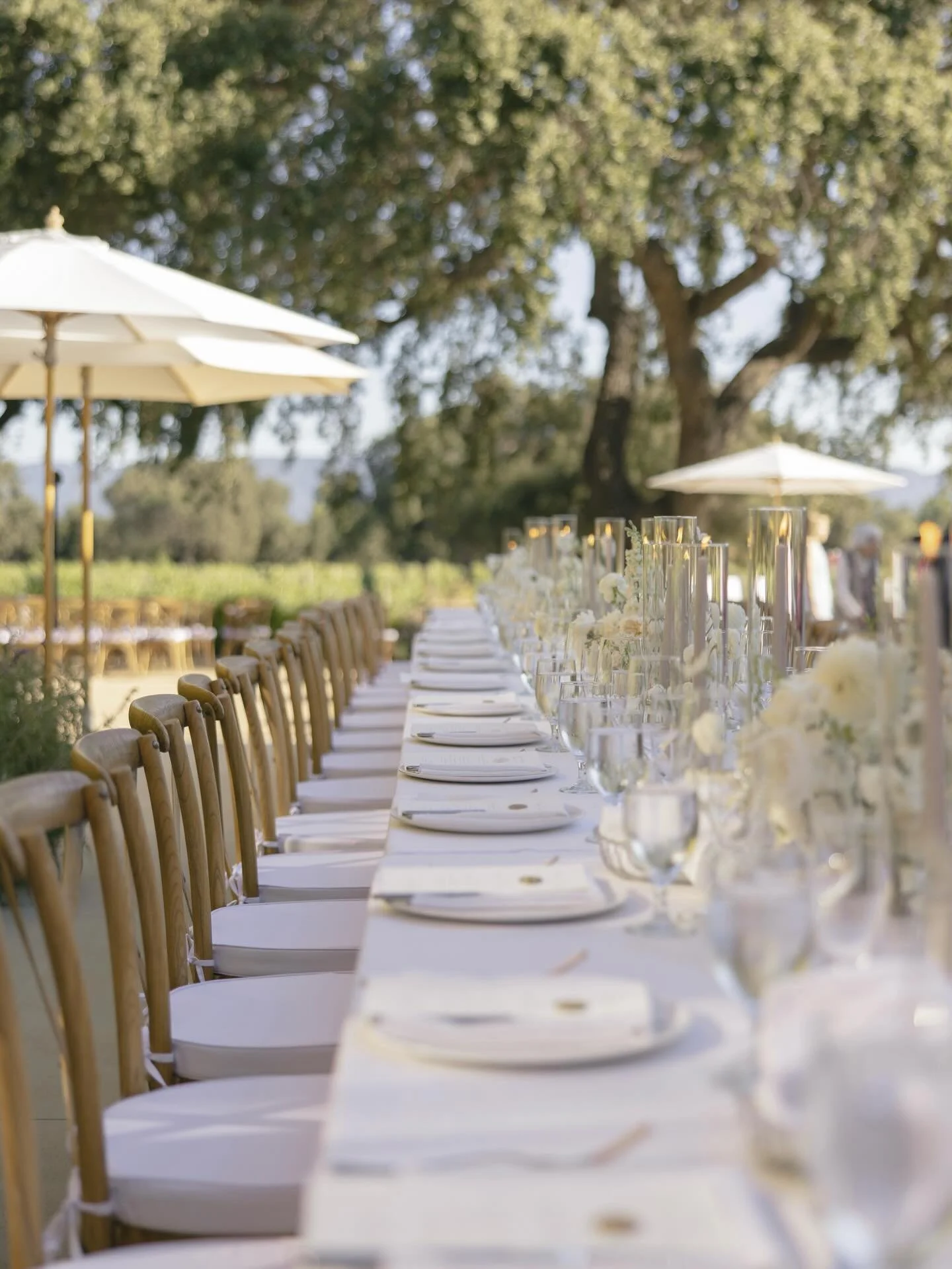 Thuyvi and Phillip&rsquo;s wedding in Santa Ynez was one of those days that felt effortless in the best possible way. Golden hills stretched in every direction, the light was warm and glowing, and the sweetest humans were all gathered in one place. I
