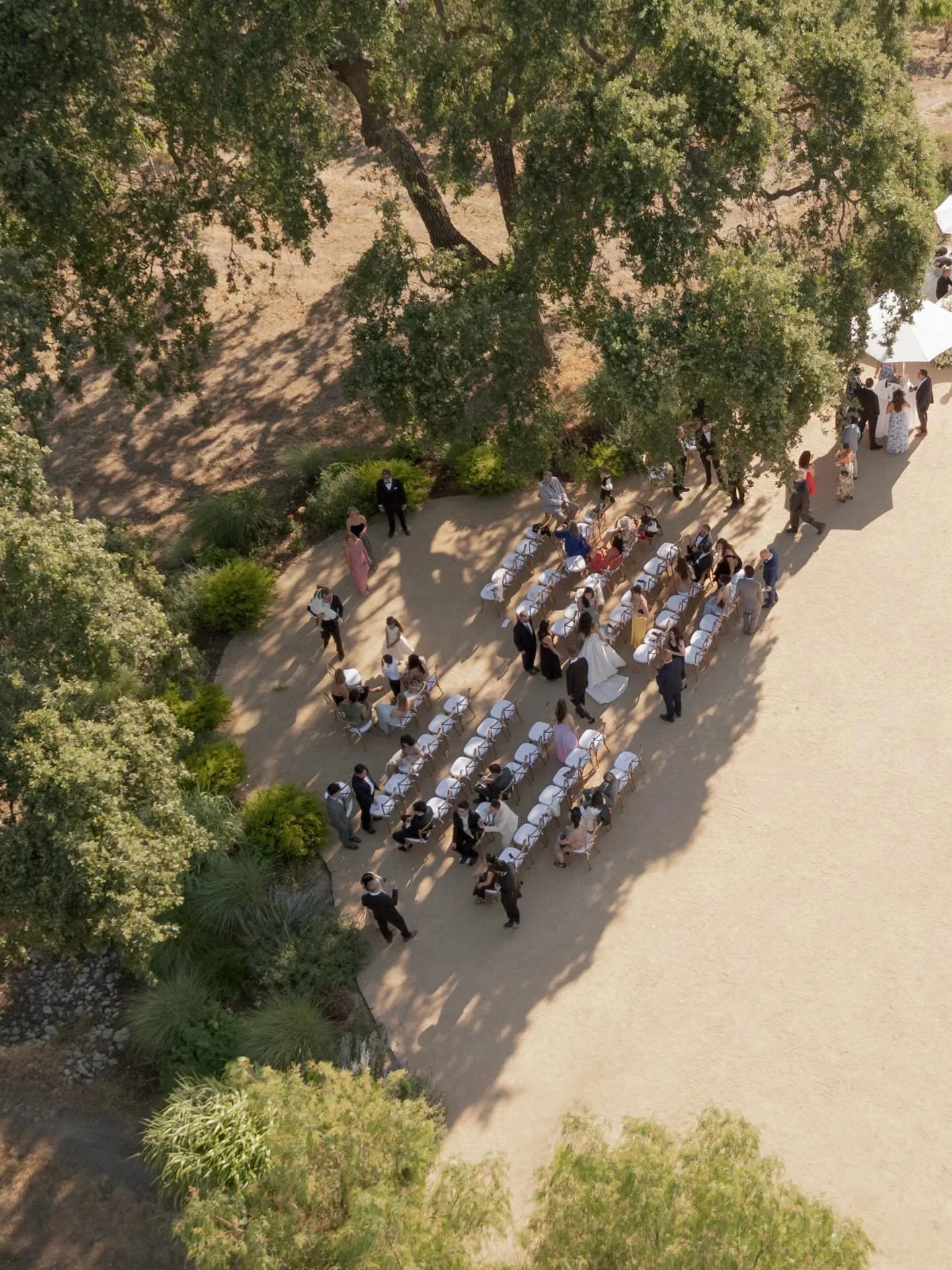 A few favorites from cocktail hour in Santa Ynez with Thuyvi &amp; Phillip 💛 

@roblarwinery
@sierrajamesevents 
@greenhouseflorals 
@drakebuffingtonfilms
@townandcountryeventrentals 
@studiocynth