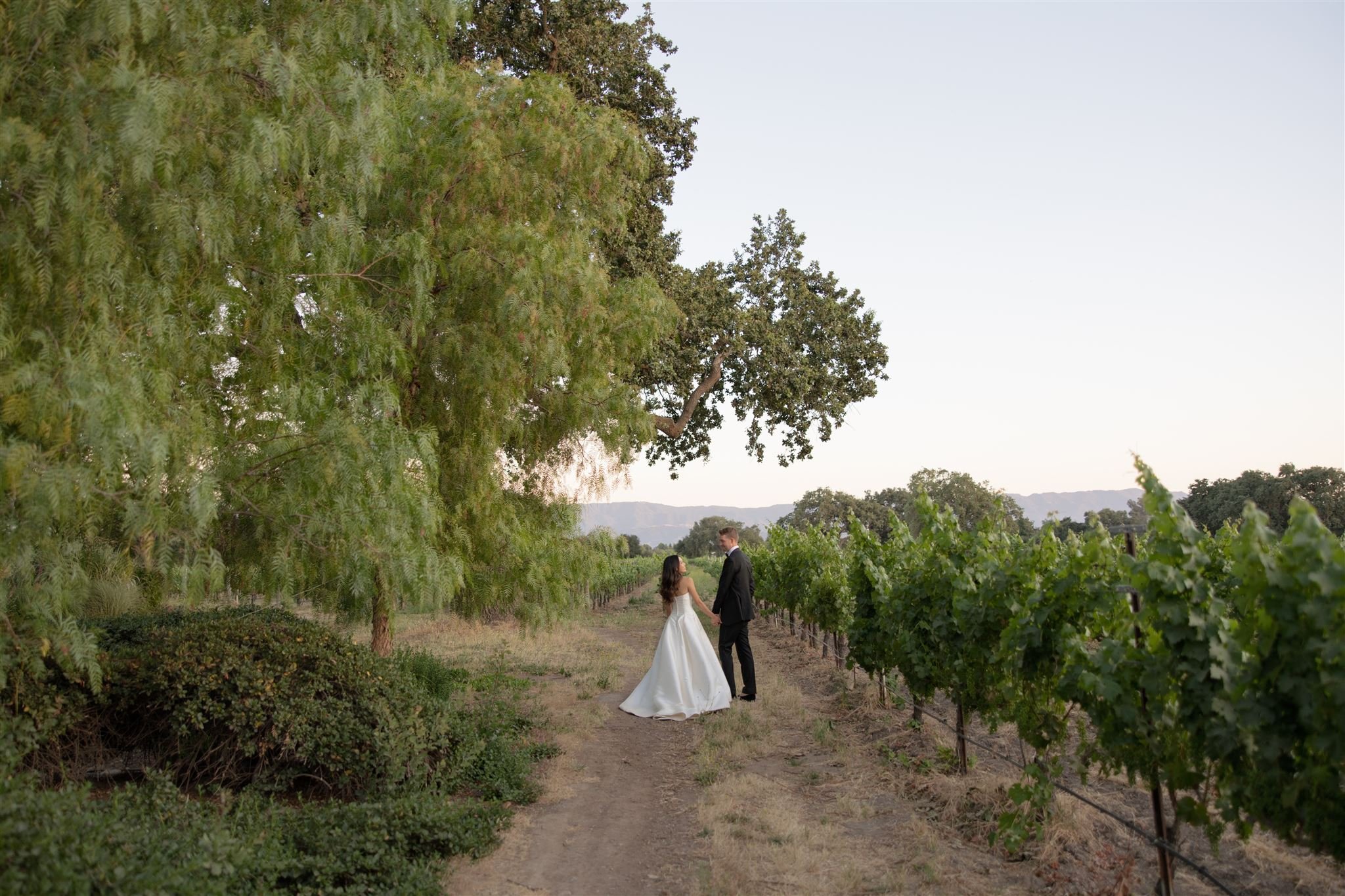 Santa-Ynez-Wedding-Lexie-Hand.jpg