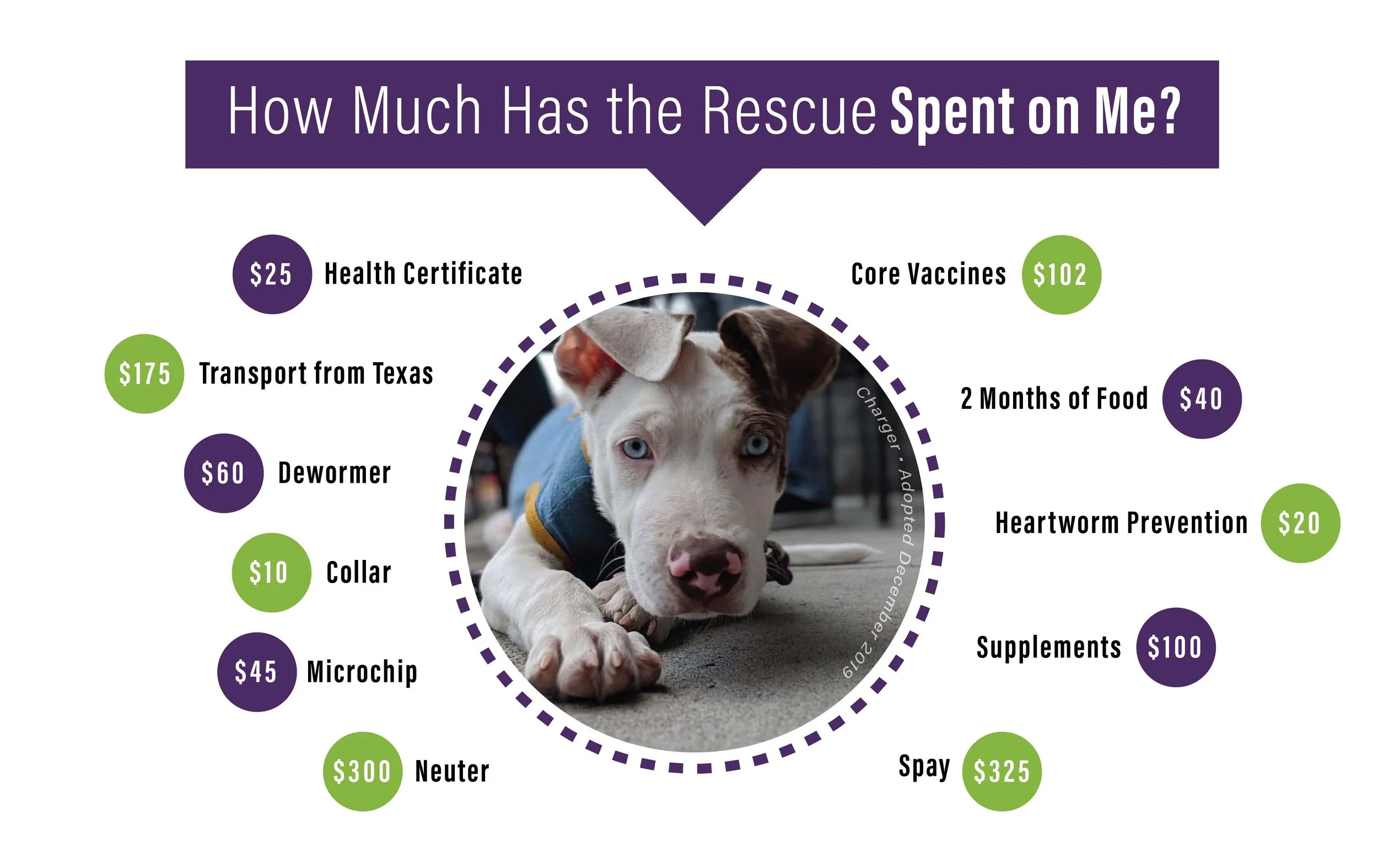 Adoption Facts — Path of Hope Rescue
