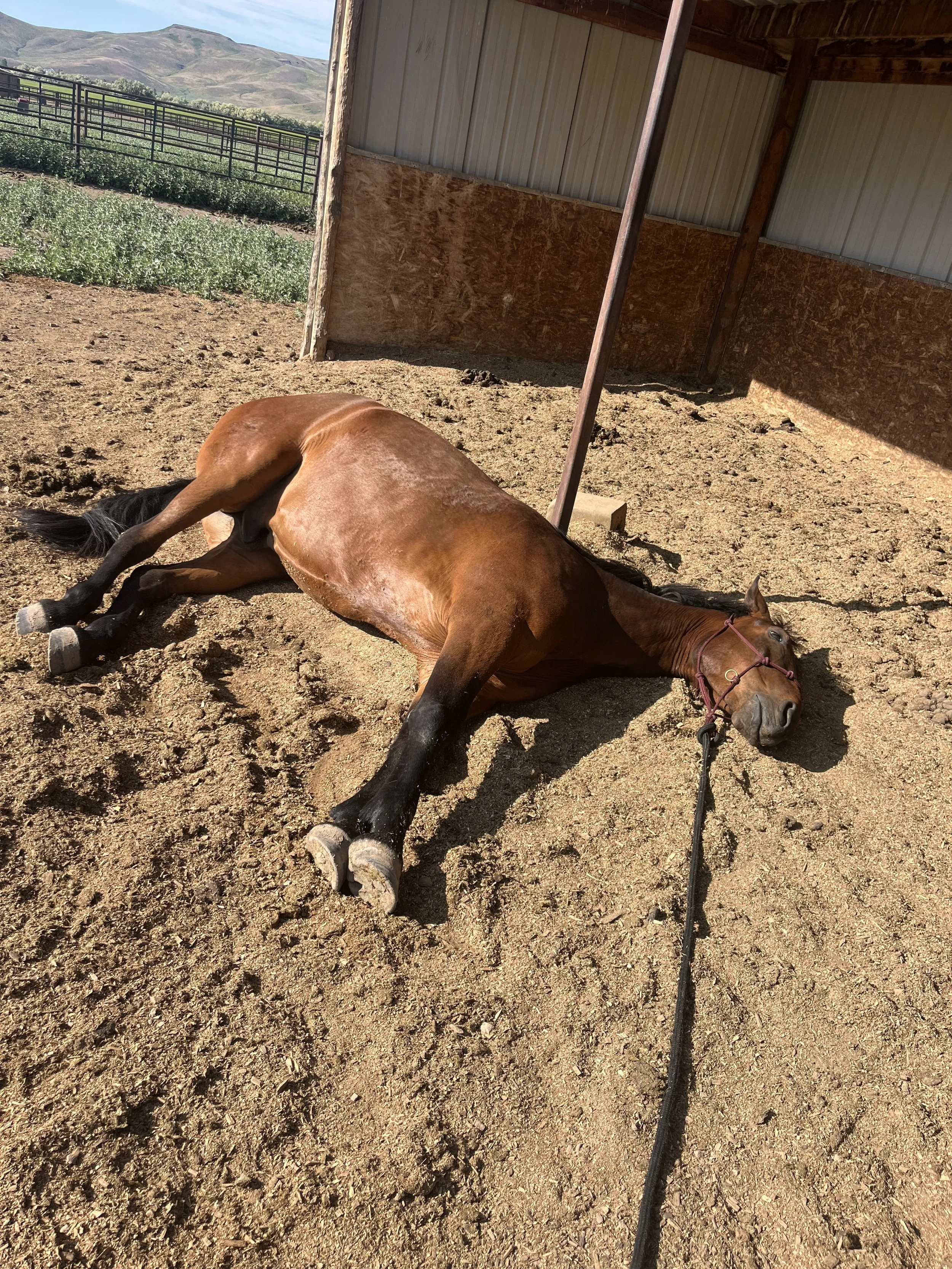 Recumbent Sleep Deprivation Webinar Recording