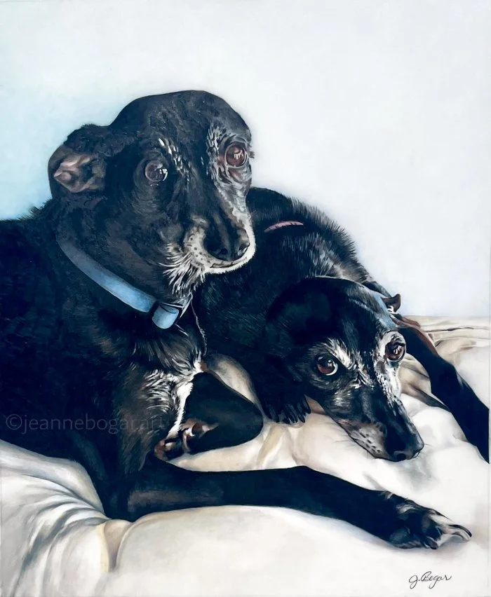 Greyhounds 3-2.jpg