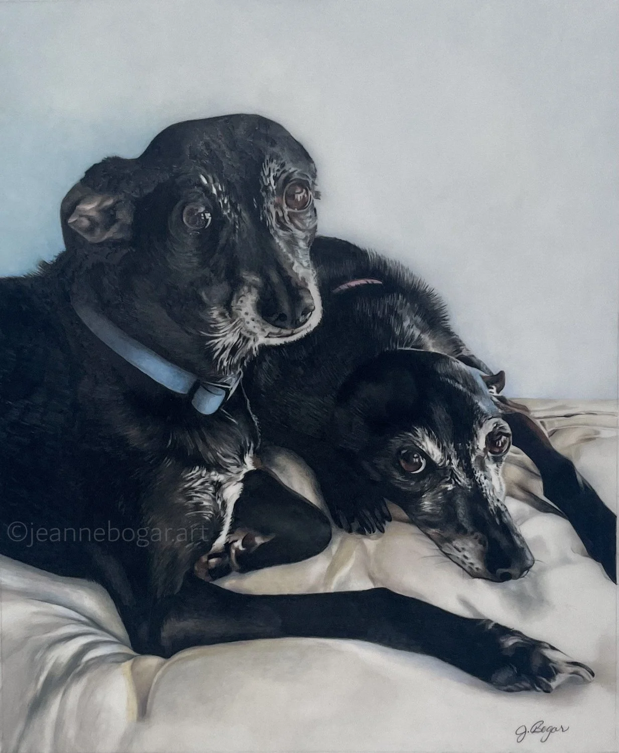 Greyhounds.jpg
