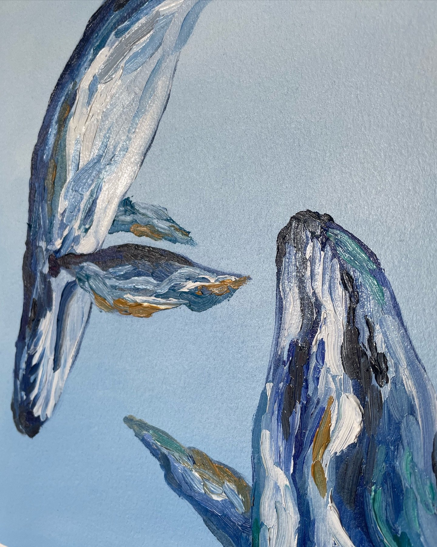 Some whale detail 🐋