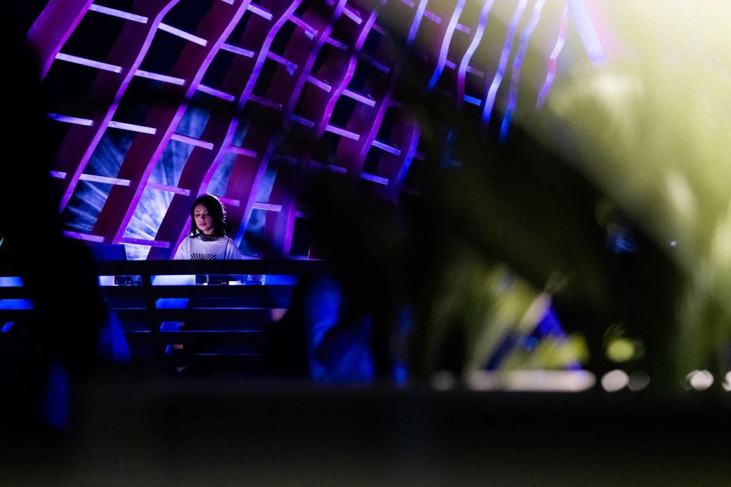 Through the leaves