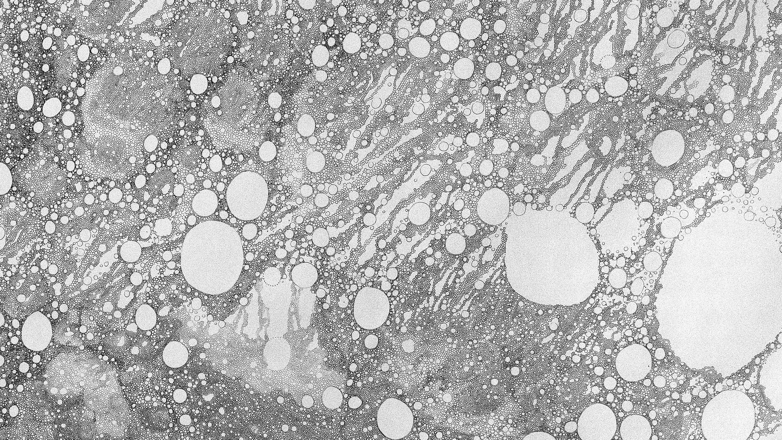 Time Drawing II, detail.