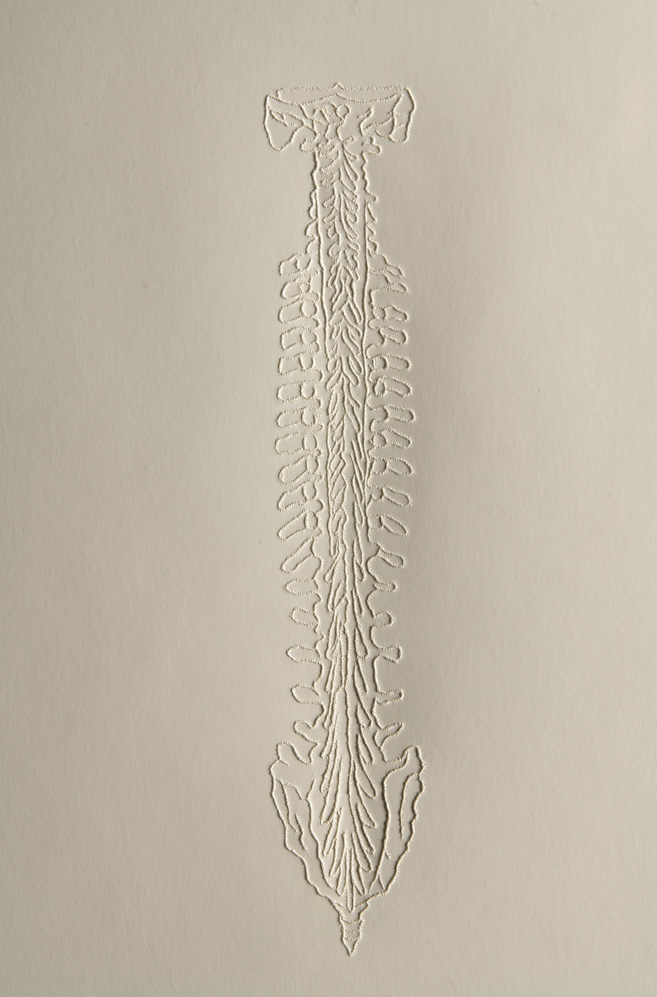 Xawery Wolski works on paper