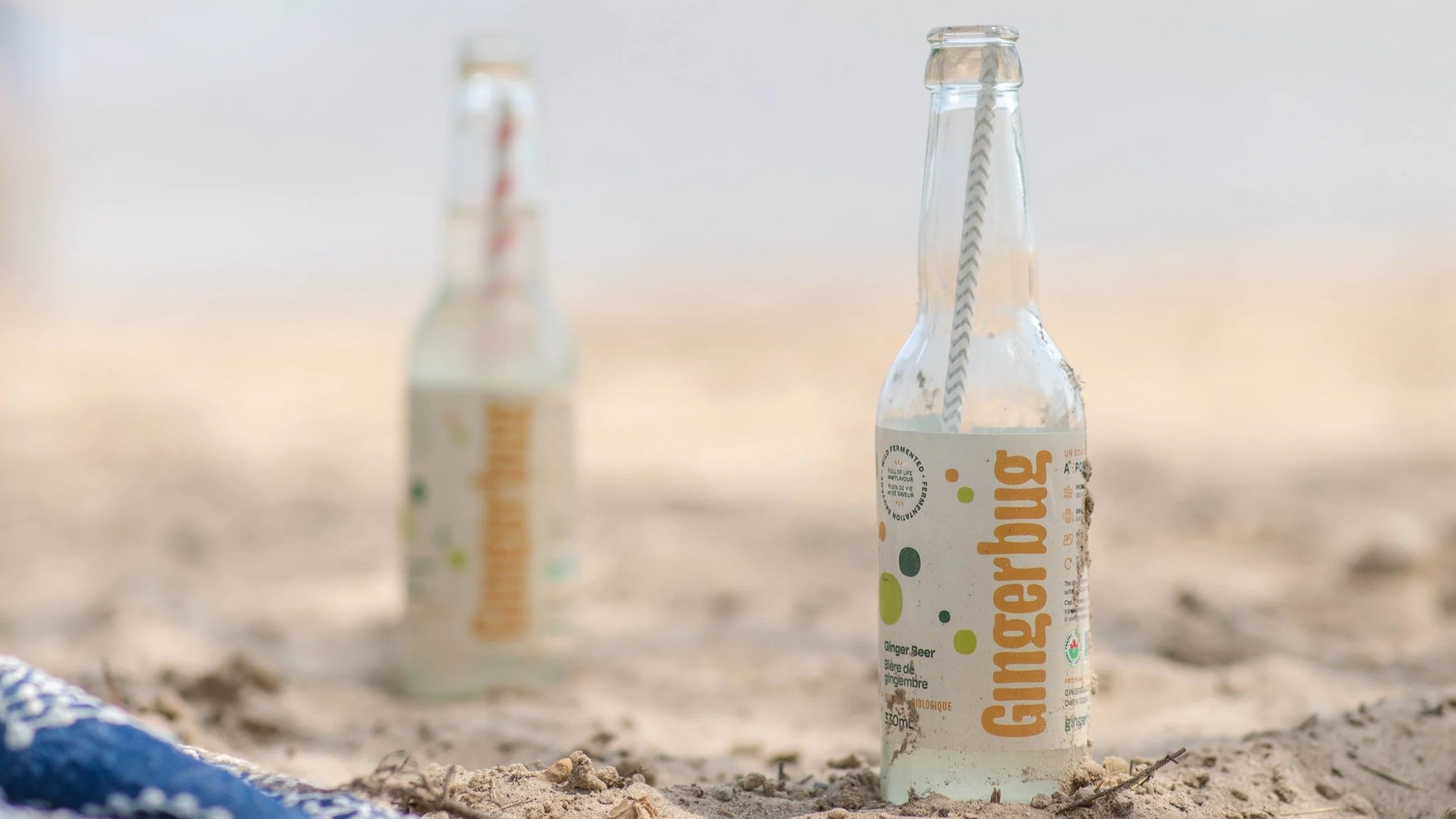 What's a 'Ginger Bug'?! — Gingerbug Canada's first wild fermented