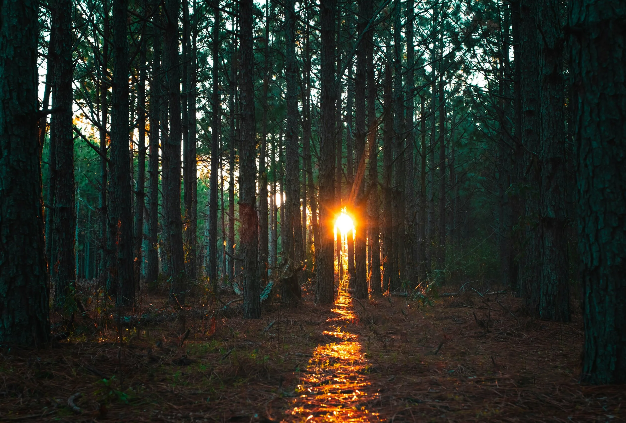 When Darkness Turns to Light