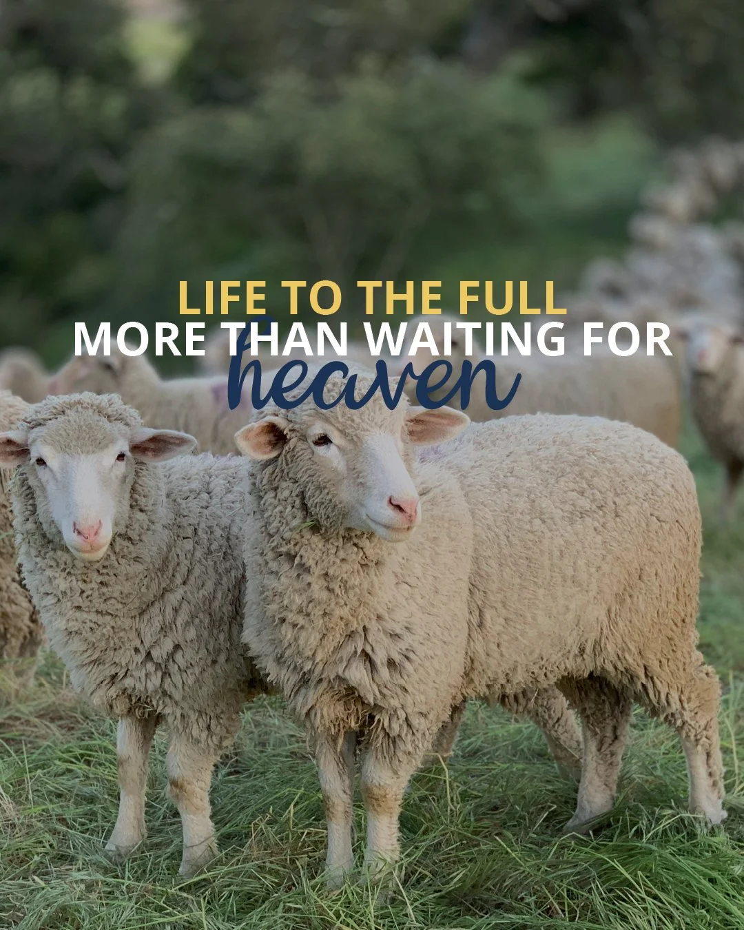 When Jesus says, &ldquo;I am the life,&rdquo; He&rsquo;s not only pointing us toward eternity&mdash;He&rsquo;s inviting us into something rich, meaningful, and abundant right now.

So often, we think of faith as holding on until heaven. But Jesus pai