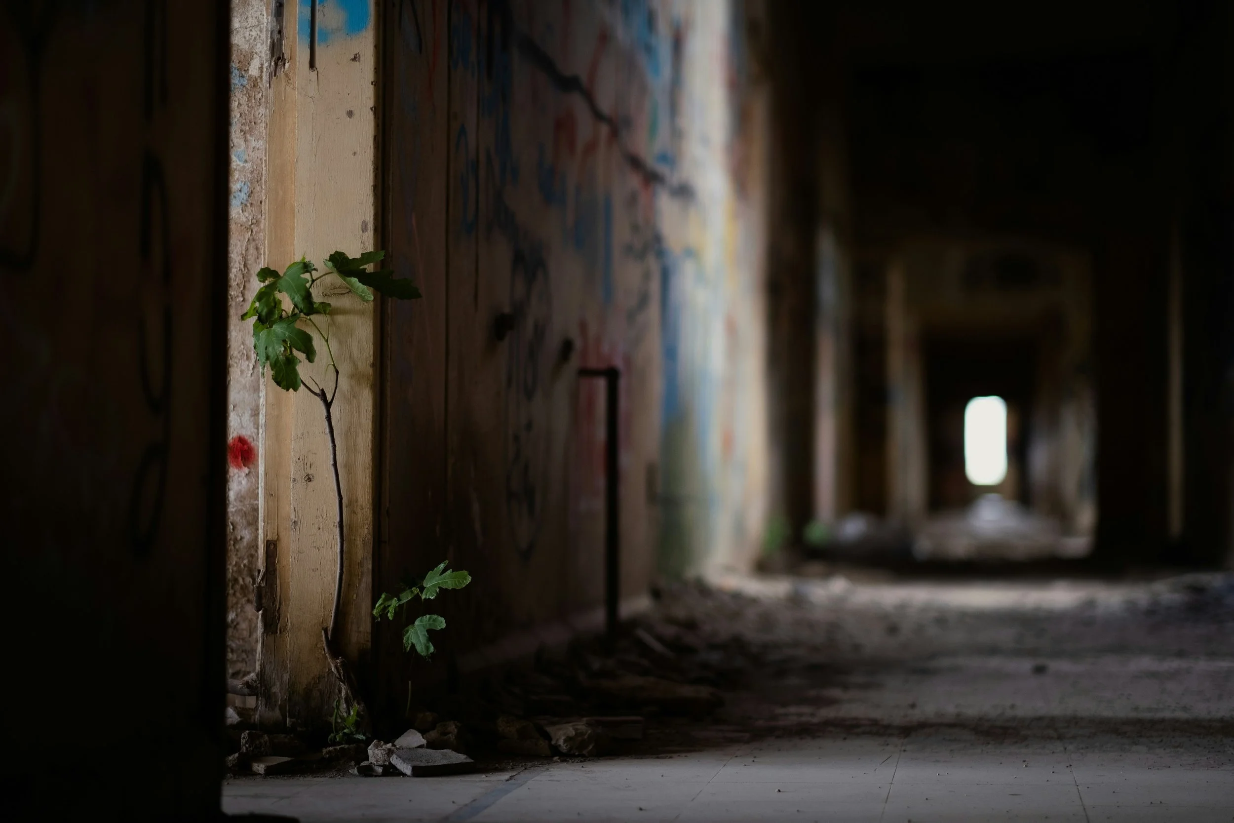 When the Gospel is Called a Crime