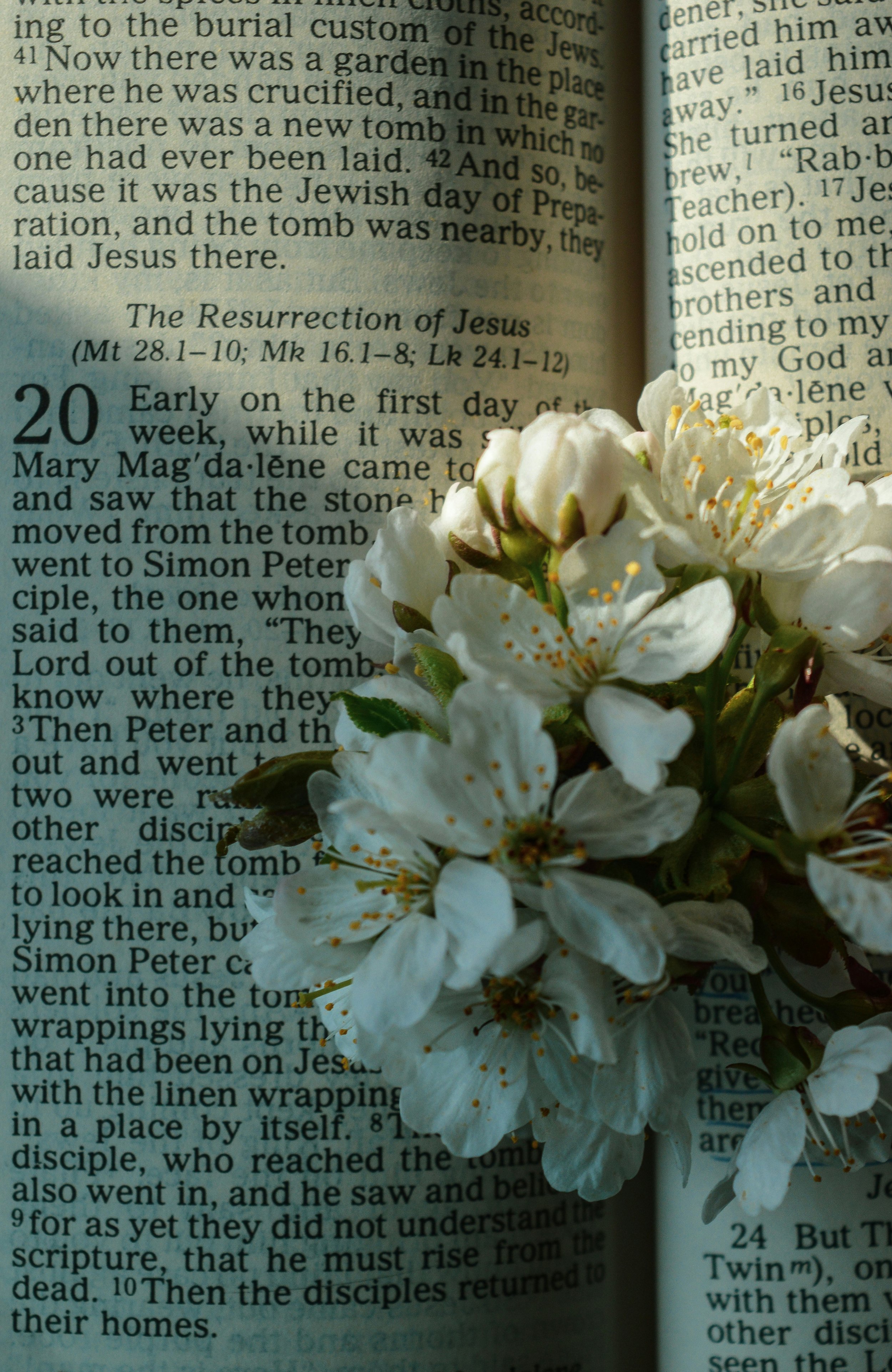 When the World Chooses Death, Easter Still Whispers Hope