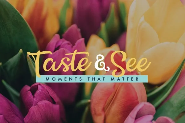 Taste & See
