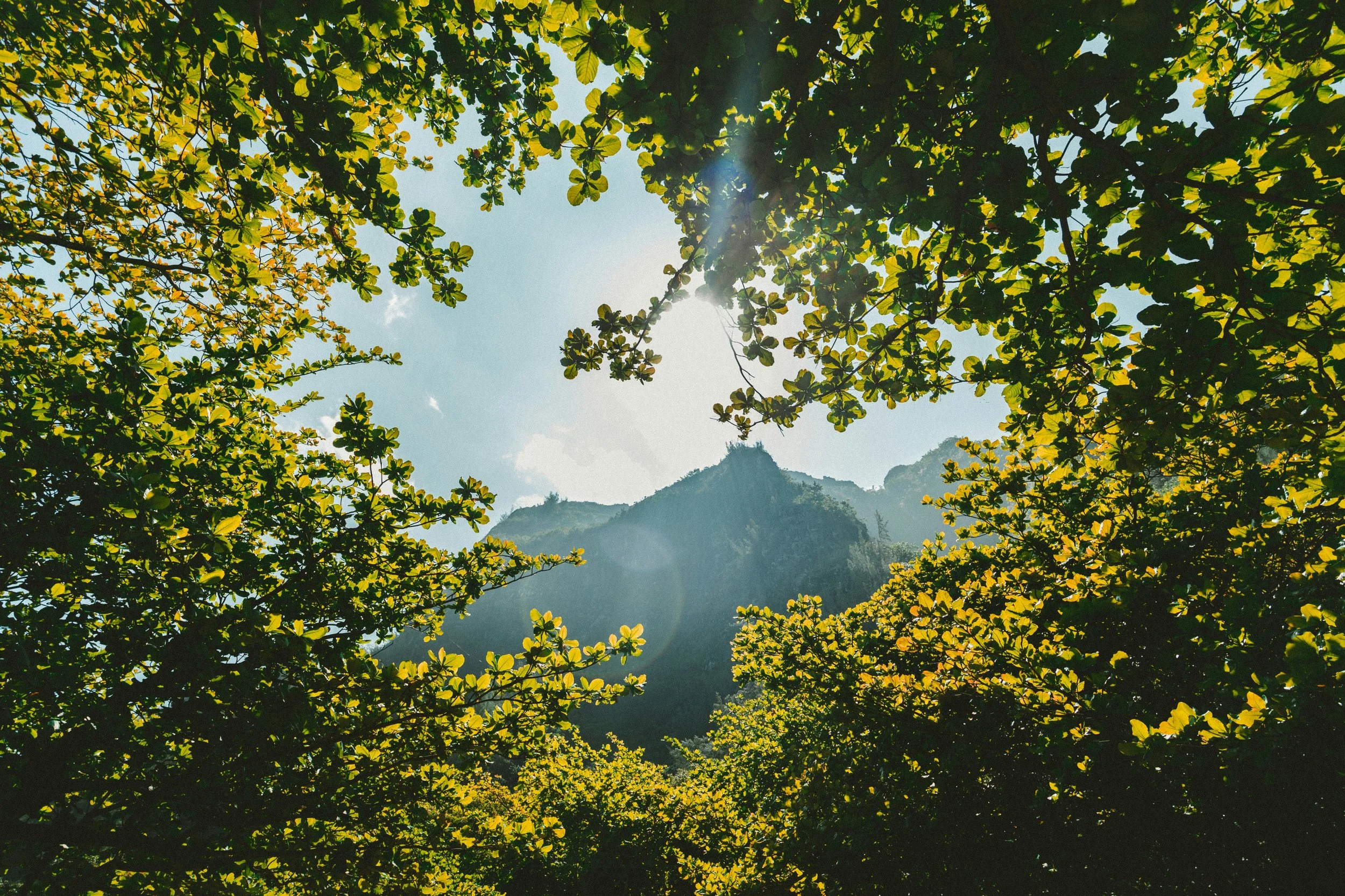 Not every Disciple-maker Stands on a Stage
