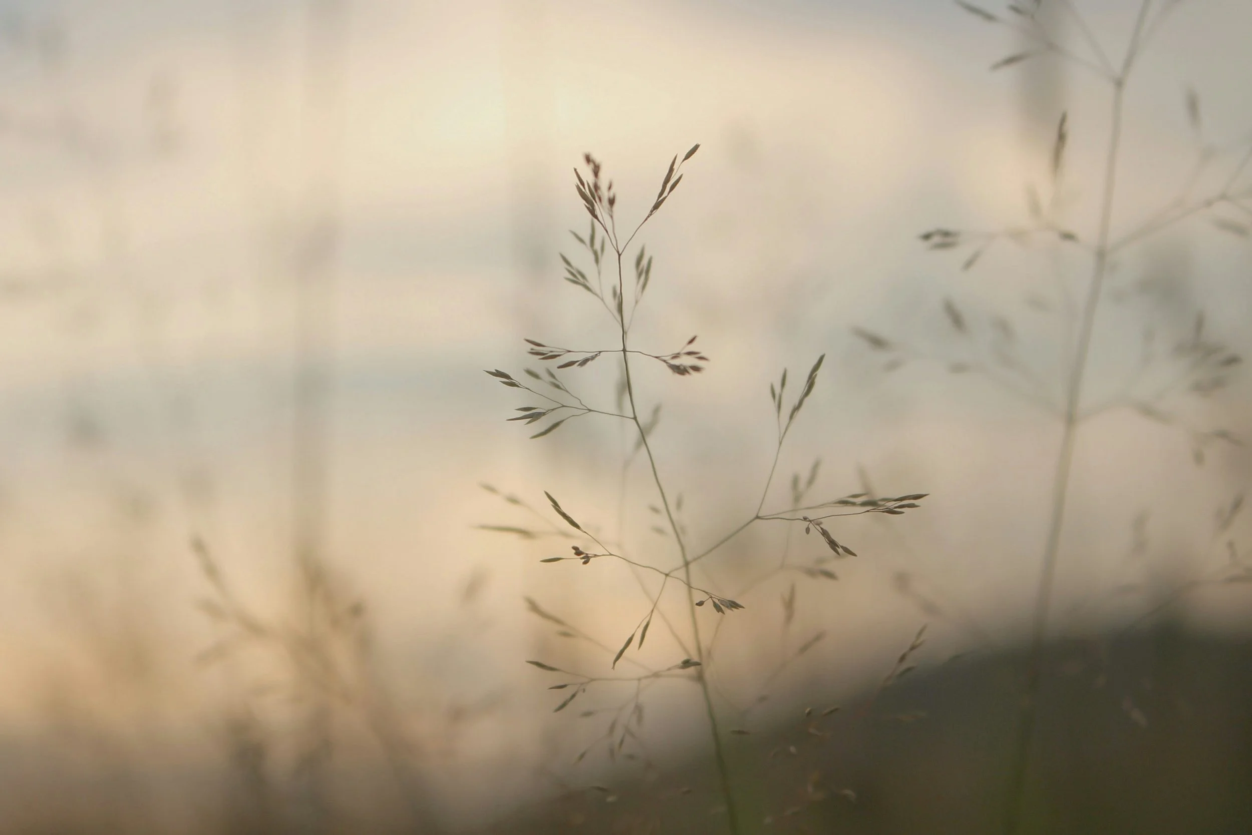 The Power of a Gentle Whisper