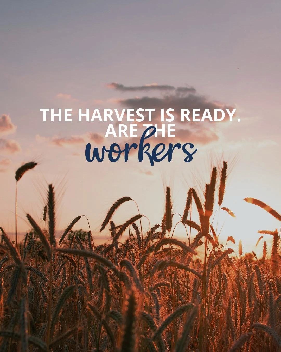 🌾 The Harvest Is Ready... Are the Workers?

What if the answer to the shortage of workers is already standing in the harvest field?

Discover Jesus' surprising solution&mdash;and how ordinary believers are being equipped to make disciples where they
