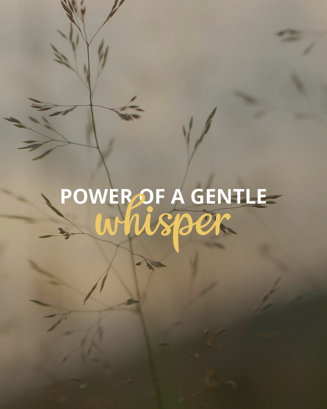 The loudest voice isn't always the one that changes a life.

In this week's blog, discover how a simple moment in a school gym points to a powerful truth from Scripture: God often speaks&mdash;and works&mdash;through gentleness, patience, and love.

