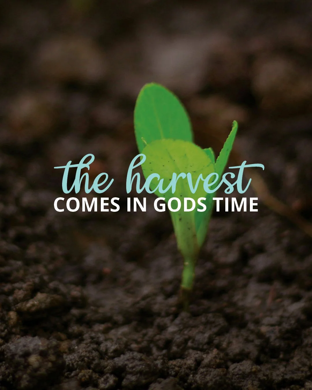 What if the seeds you&rsquo;ve been planting for years are closer to harvest than you realize?

From praying for one woman over decades to seeing disciple-making movements grow across 20 countries, we are reminded that God is always at work&mdash;eve