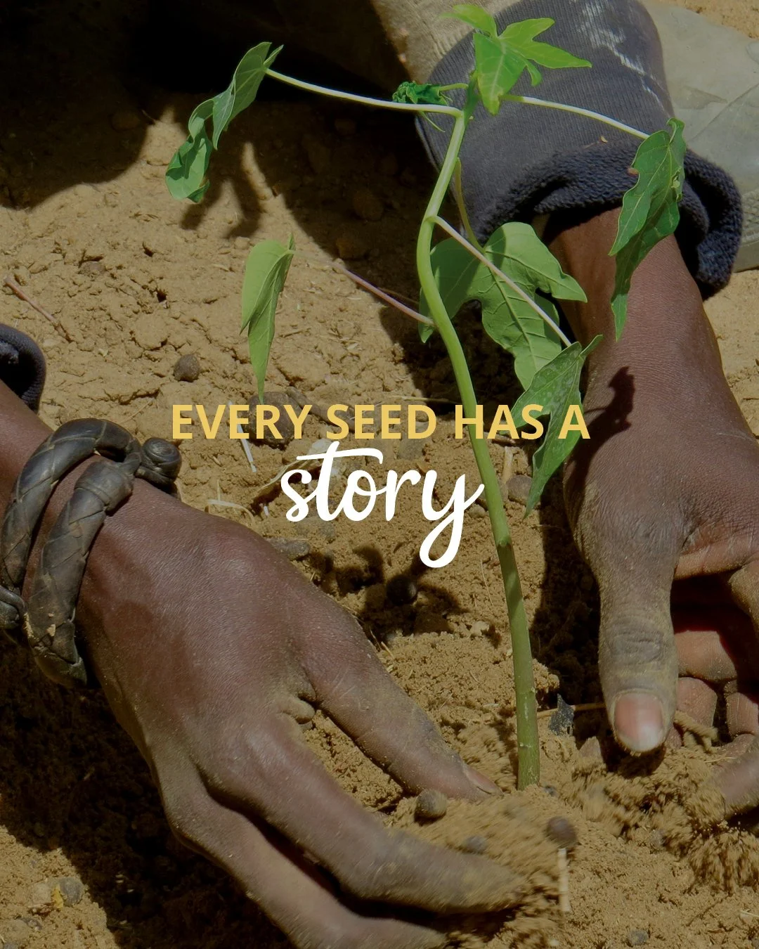 No one comes to faith by accident. Behind every disciple is a story of faithful people who prayed, encouraged, shared the Gospel, and invested along the way.

Jesus reminds us, "One sows and another reaps." (John 4:37)

Whether you're plant