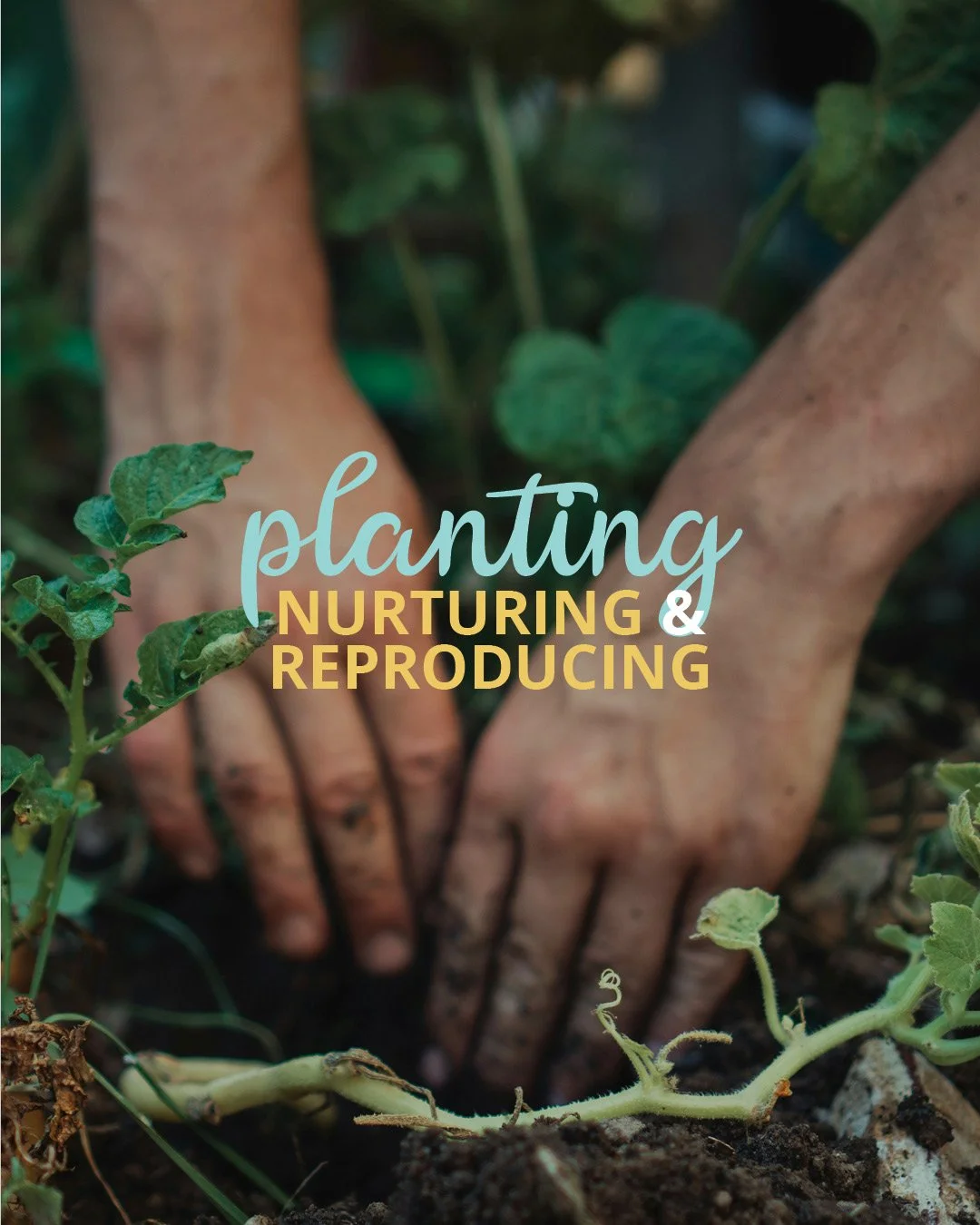 🌱 Every seed contains what it needs to grow. But every gardener knows that the right care&mdash;watering, feeding, protecting and nurturing&mdash;can help that seed flourish and produce abundantly.

The same is true in disciple-making.

God has plac