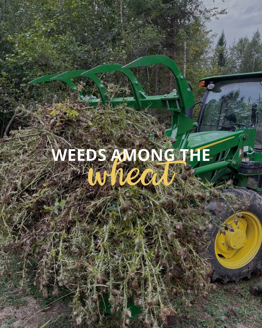 A few days of pulling weeds brought a powerful reminder: we live among people who may not yet know or care about what Jesus has done for them. But people matter to God.

As disciple-makers, our calling is not to judge who belongs in the harvest&mdash