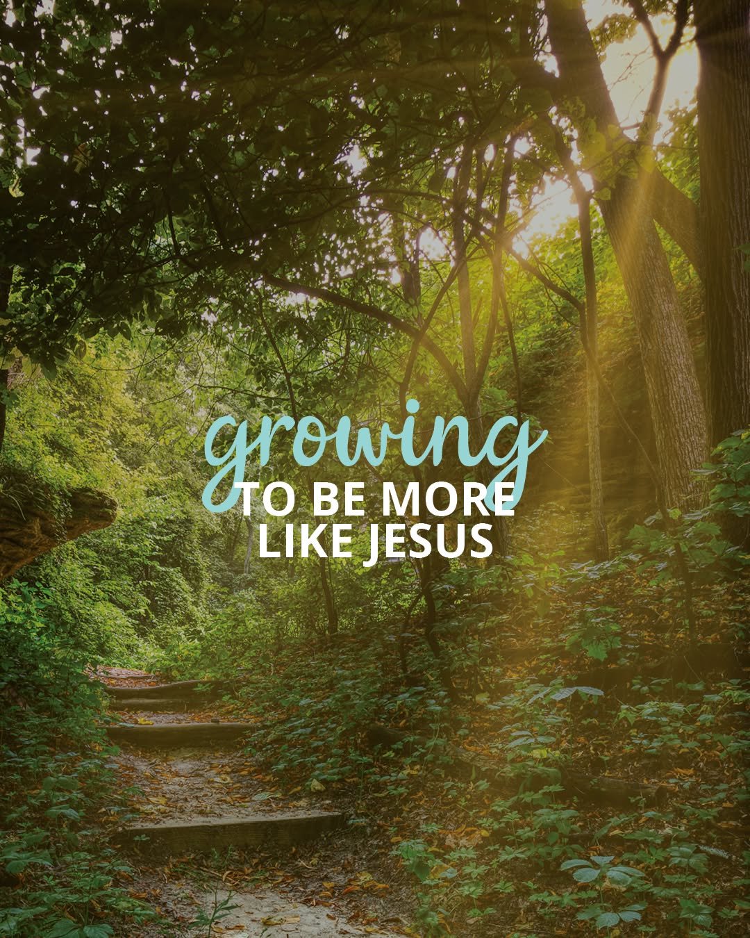 Following Jesus is a journey, not a straight line. As our faith grows, God shapes our character, strengthens our perseverance, and teaches us to love others more deeply.

In this week&rsquo;s blog, explore 2 Peter 1:5-7 and discover a pathway to beco