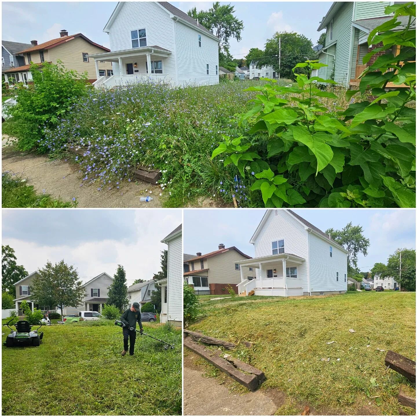 From 6 Foot Weeds To Fully Cleared Out Property. Unleashing the Power of Electric Mowing ⚡️🌱#lawncare #propertycleanup