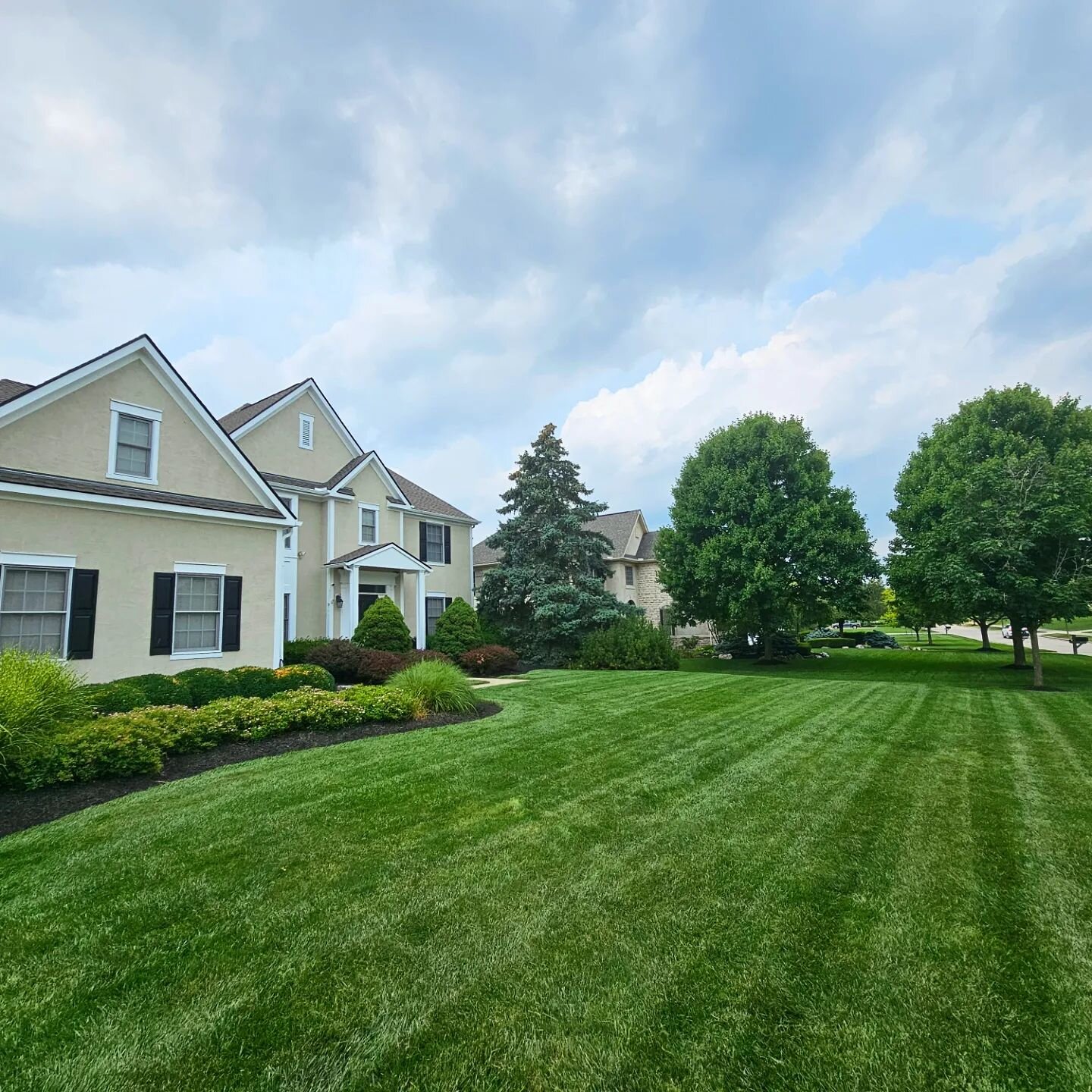 Where Dreams Take Root: A Well-Manicured Lawn Ready for Life's Moments 🌱💚
#mowing #lawncare #allelectric