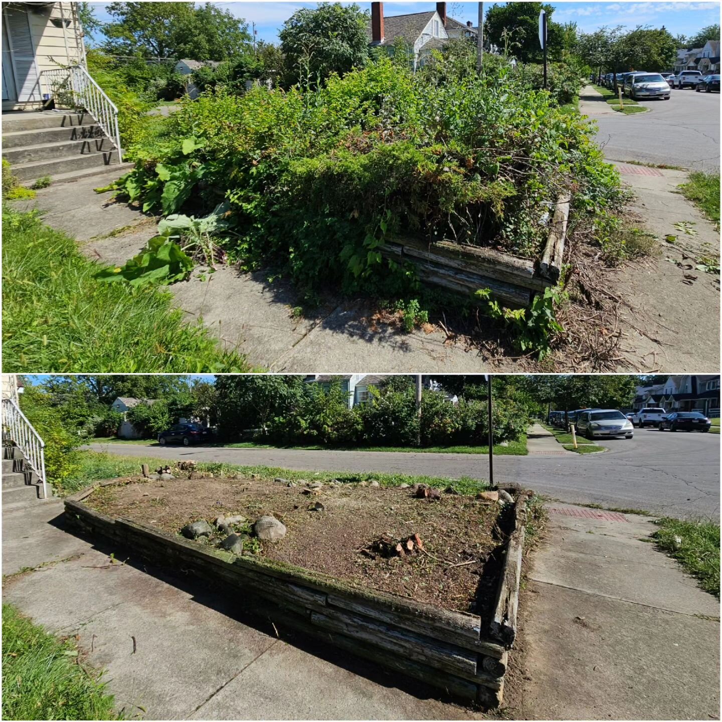 Refresh. Renew. Reimagine: Experience the Transformation with Our Property Cleanups 🌱✨
#PropertyCleanup #BeforeAndAfter #CleanSlate