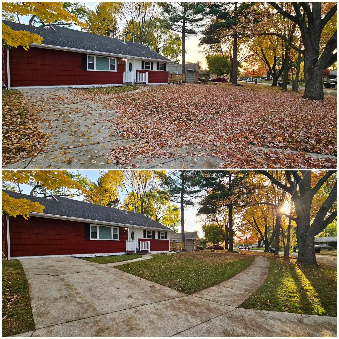 Clearing the Leaves, One Pile at a Time 🍁🌞#fallcleanup #leafremoval