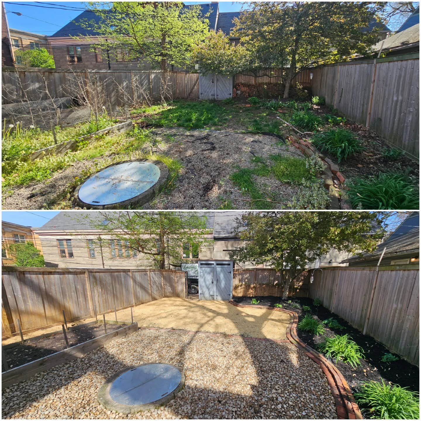 From overgrown and forgotten to clean, crisp, and ready to enjoy! This backyard transformation was all about clearing everything out, redefining space, and giving it new life with fresh mulch, gravel, and plantings.

Another one reclaimed by the Gree