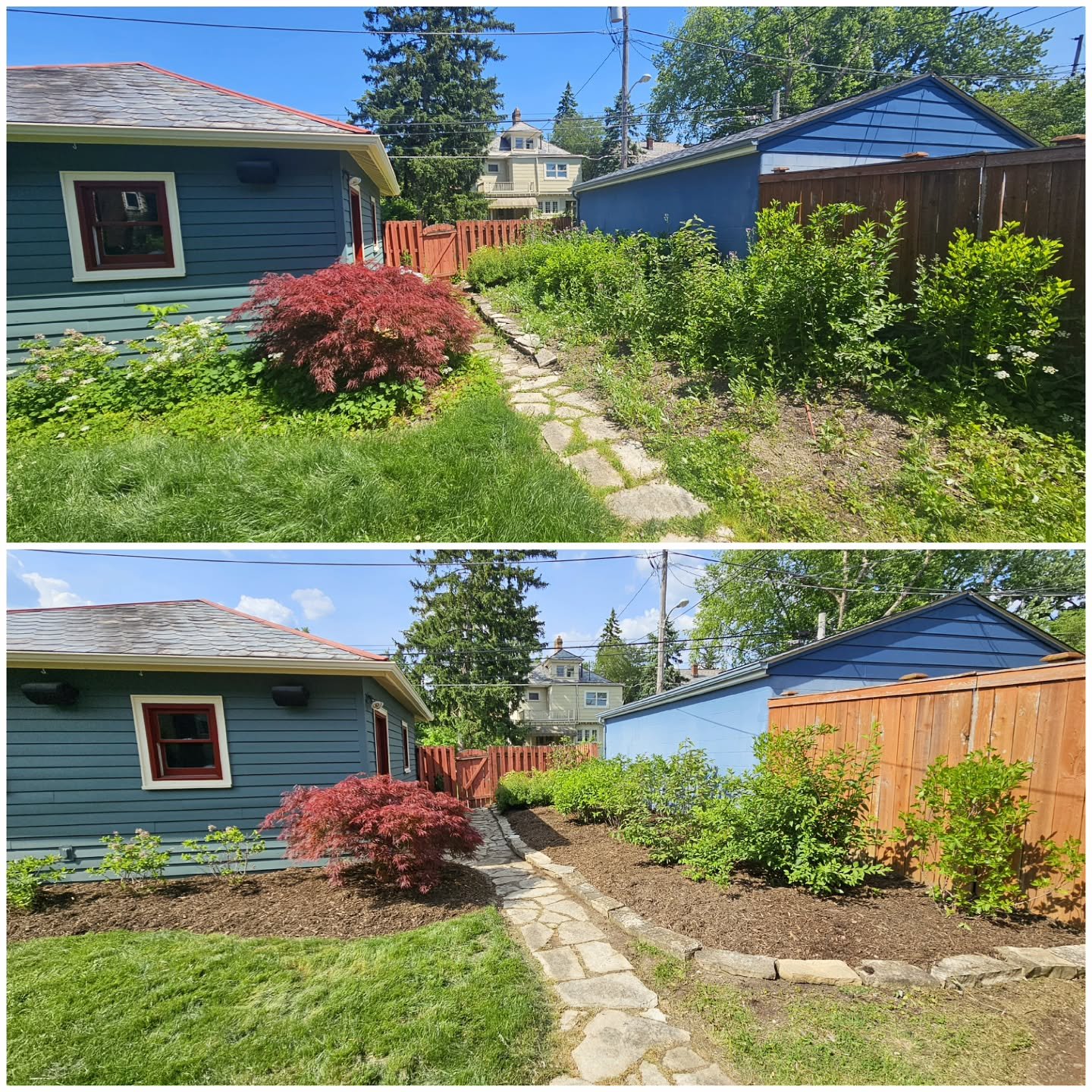 Witness the power of a little TLC: before vs. after. 🌳 🔄 #Transformation