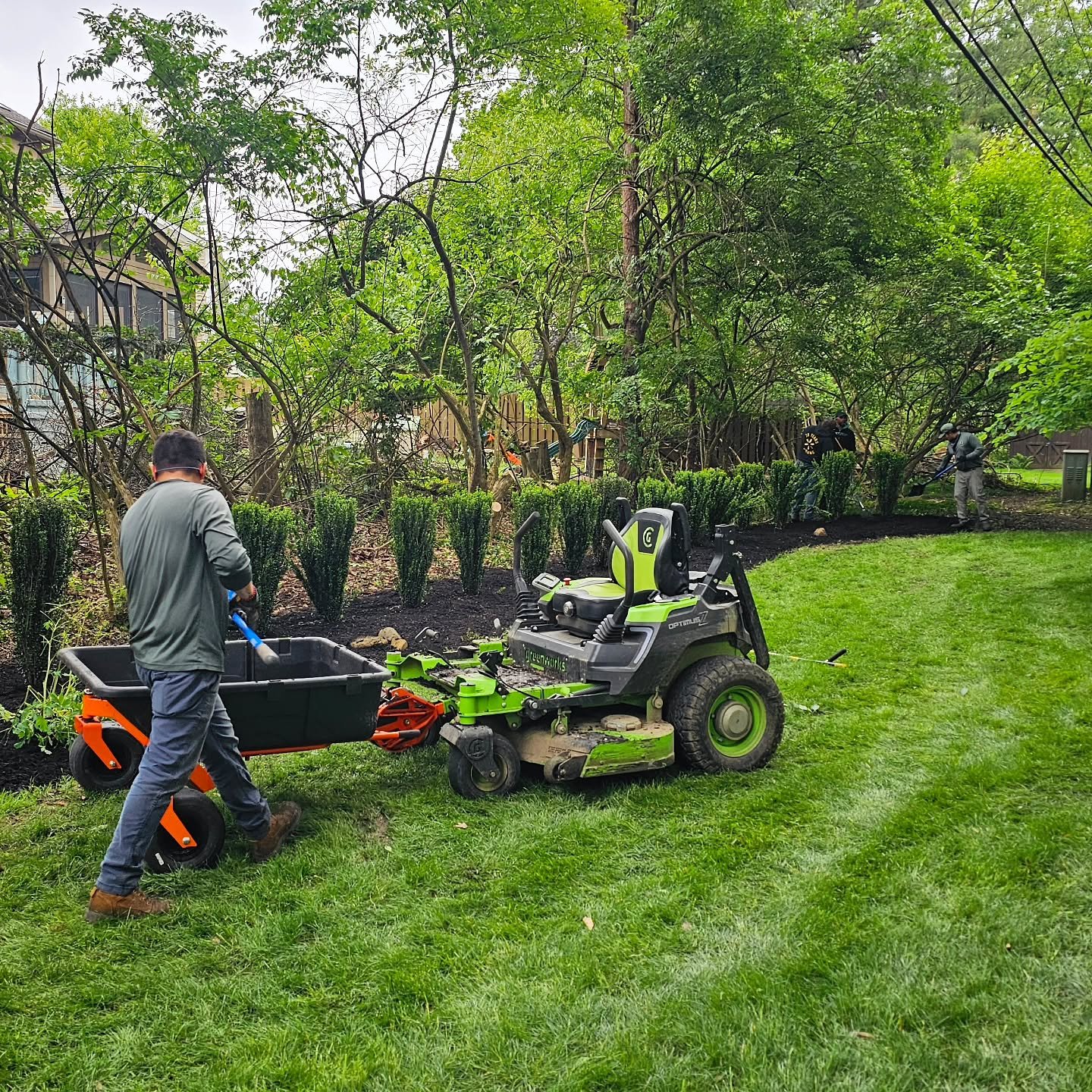 🌿 Team Greenbeard in action! Wrapping up a clean mulch install and planting a sleek row of Sky Pencil Holly for that polished, vertical pop.

#GreenbeardLawnCare #ColumbusOhio #ElectricCrew #Landscaping