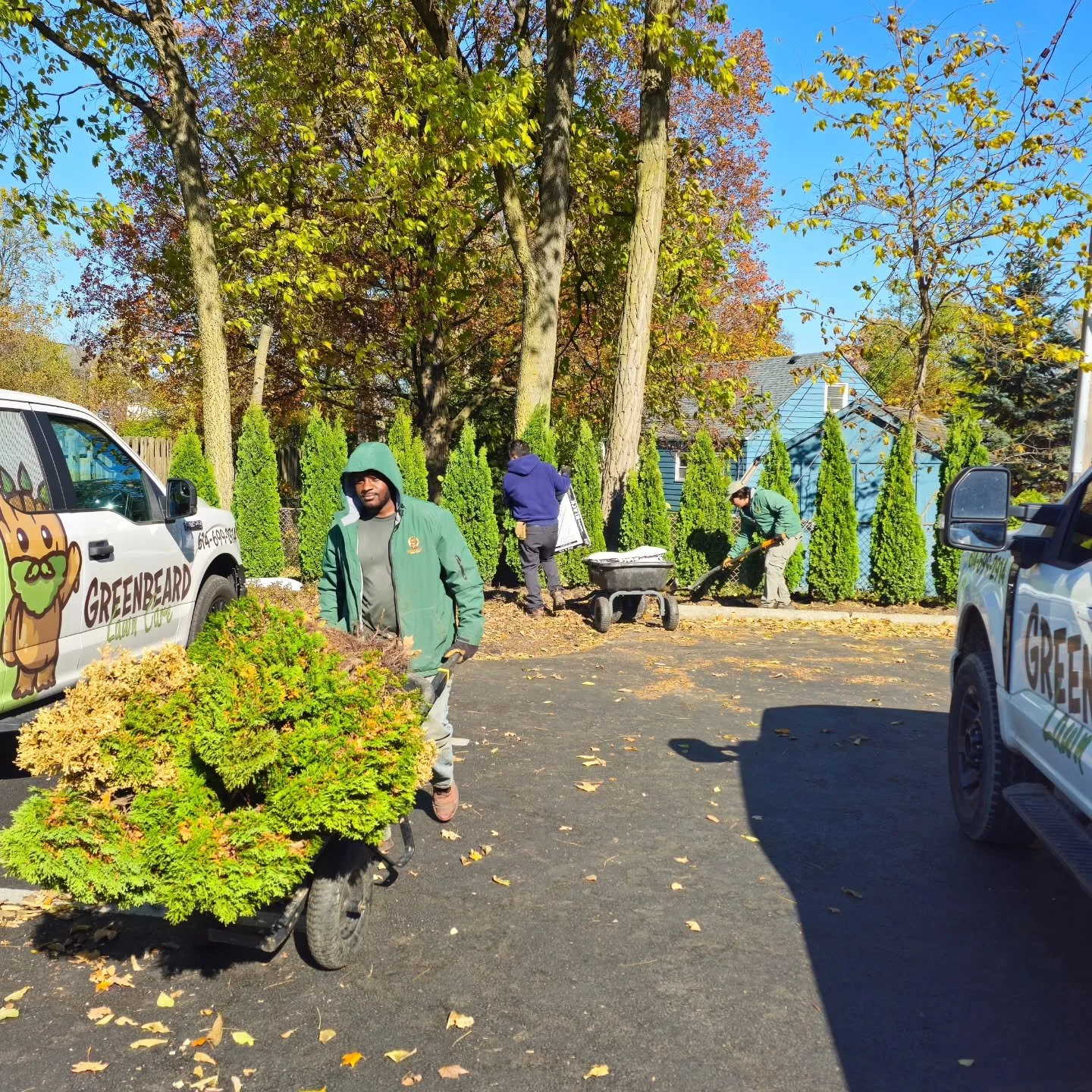 🌲 Out with the old, in with the green! 💪 Today we refreshed this living fence by removing several dying arborvitaes and replacing them with healthy new ones, giving the property fresh life and a fuller look just in time for fall.

#GreenbeardLawnCa