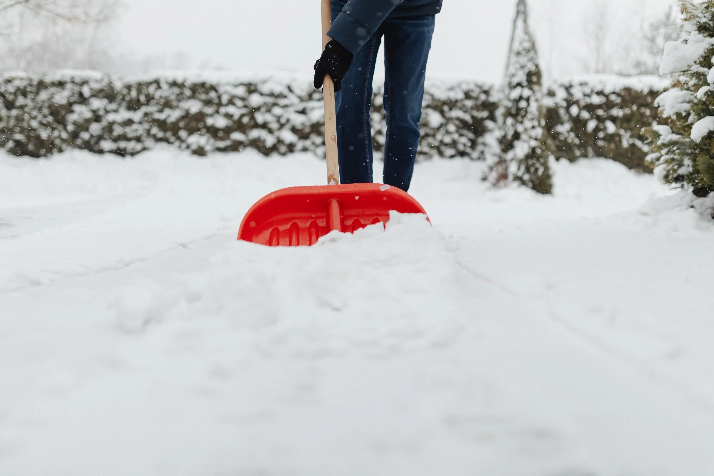 Person shoveling snow with a red shovel in a snowy backyard.