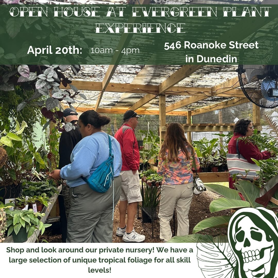 I know I said no Open House this month but 🤷🏻&zwj;♀️
I can&rsquo;t help it!

Come shop our nursery (no appointment needed) April 20th, 10am-4pm. We&rsquo;re only doing one day this month, so if that day doesn&rsquo;t work you can book an appointmen
