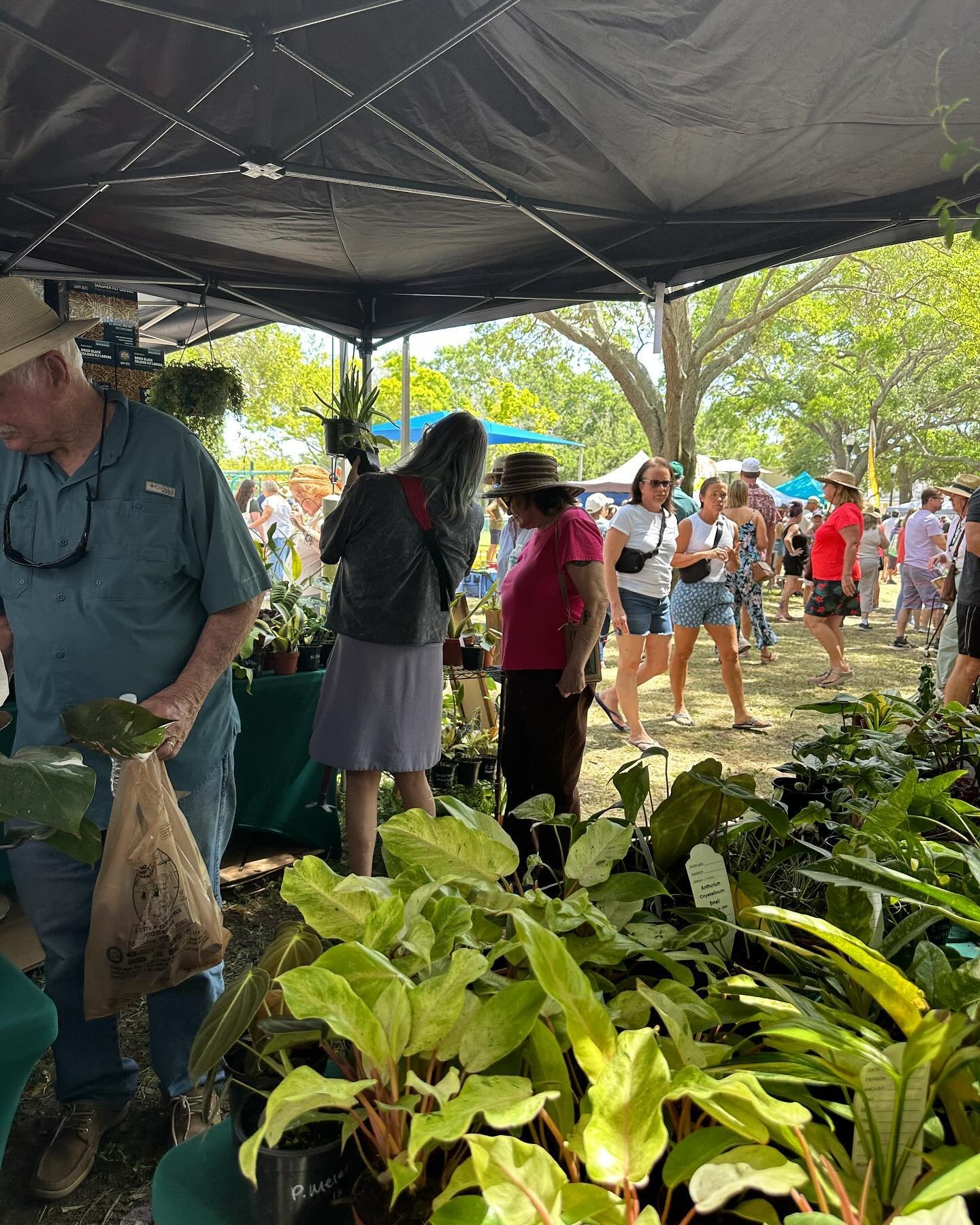 WOW Green Thumb day 1 was a huge success! Thanks to everyone who came out, we&rsquo;ll be back tomorrow 9am-4pm!

In the mean time catch us at @groovehivemarket at @cultureshockdtsp until 9 🩷🪴