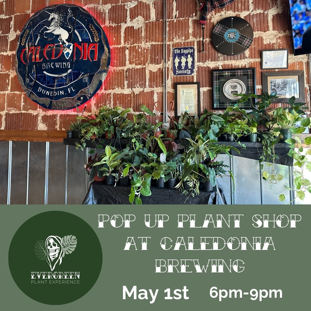 🤍 Here&rsquo;s what&rsquo;s happening this week🤍 

Wednesday, May 1st, 6pm - 9pm
Join us at Caledonia Brewing for our Pop Up Plant Shop! Visit @caledoniabrewing historic building and enjoy some their delicious beverages and snacks while you shop ou