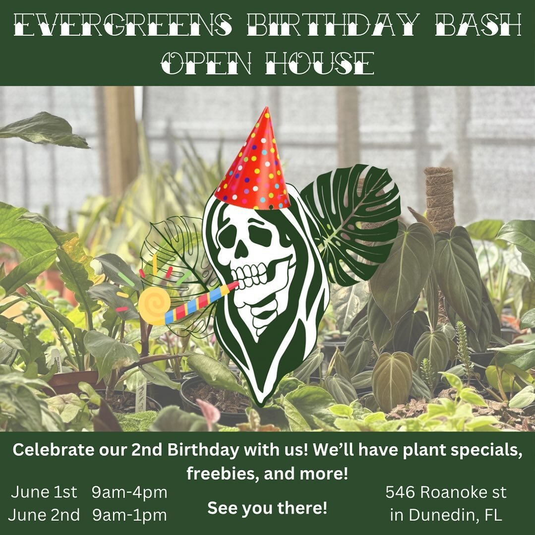 I am so excited to share that June 1st is Evergreens 2nd bday!!! 🥳🥳🥳🥳

We&rsquo;ll be having a special birthday bash open house on the 1st/2nd. We&rsquo;ll have lots of new plants stocked, plant specials, limited edition stickers, raffles, and mo