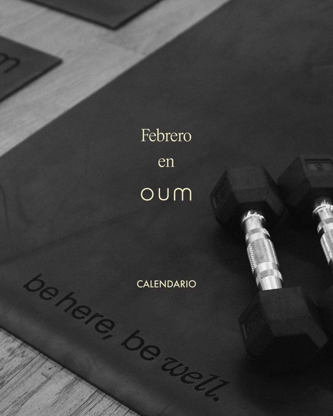 Nuestro calendario de eventos de febrero ya est&aacute; aqu&iacute; !!
Talleres especiales, charlas, clases &uacute;nicas y espacios de reflexi&oacute;n que nos invitan a seguir explorando el cuerpo, la mente y la comunidad.

Nos vemos en OUM. 🌱