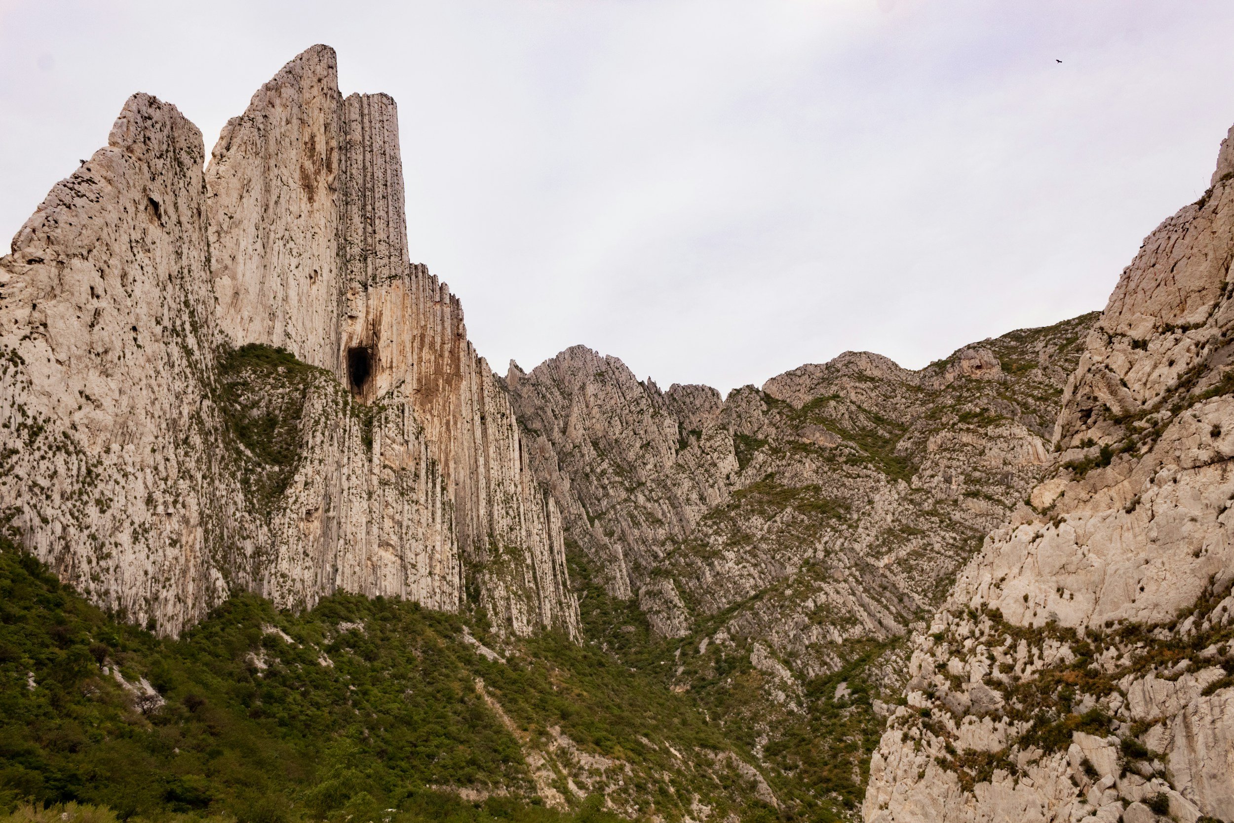 Limpieza de Graffitis. 