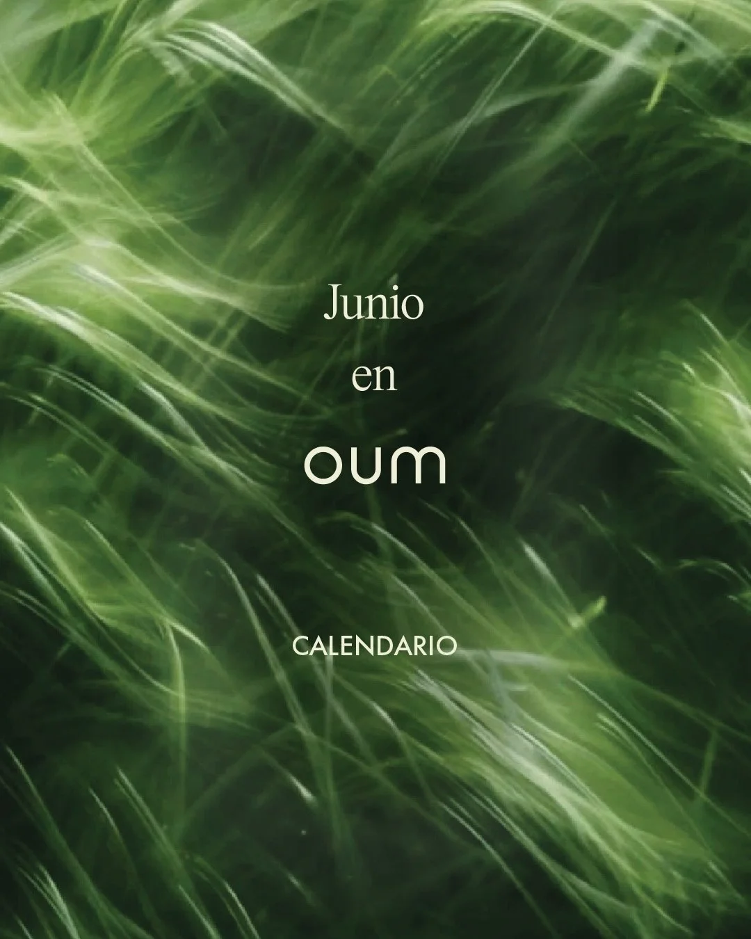 Junio en OUM ☀️ 

Mu&eacute;vete con intenci&oacute;n. 
Respira m&aacute;s profundo. 
Haz espacio para ti. 

Este junio vivimos experiencias dise&ntilde;adas para cuidar cuerpo y mente: Yoga + Pilates, meditaci&oacute;n guiada y momentos para regresa